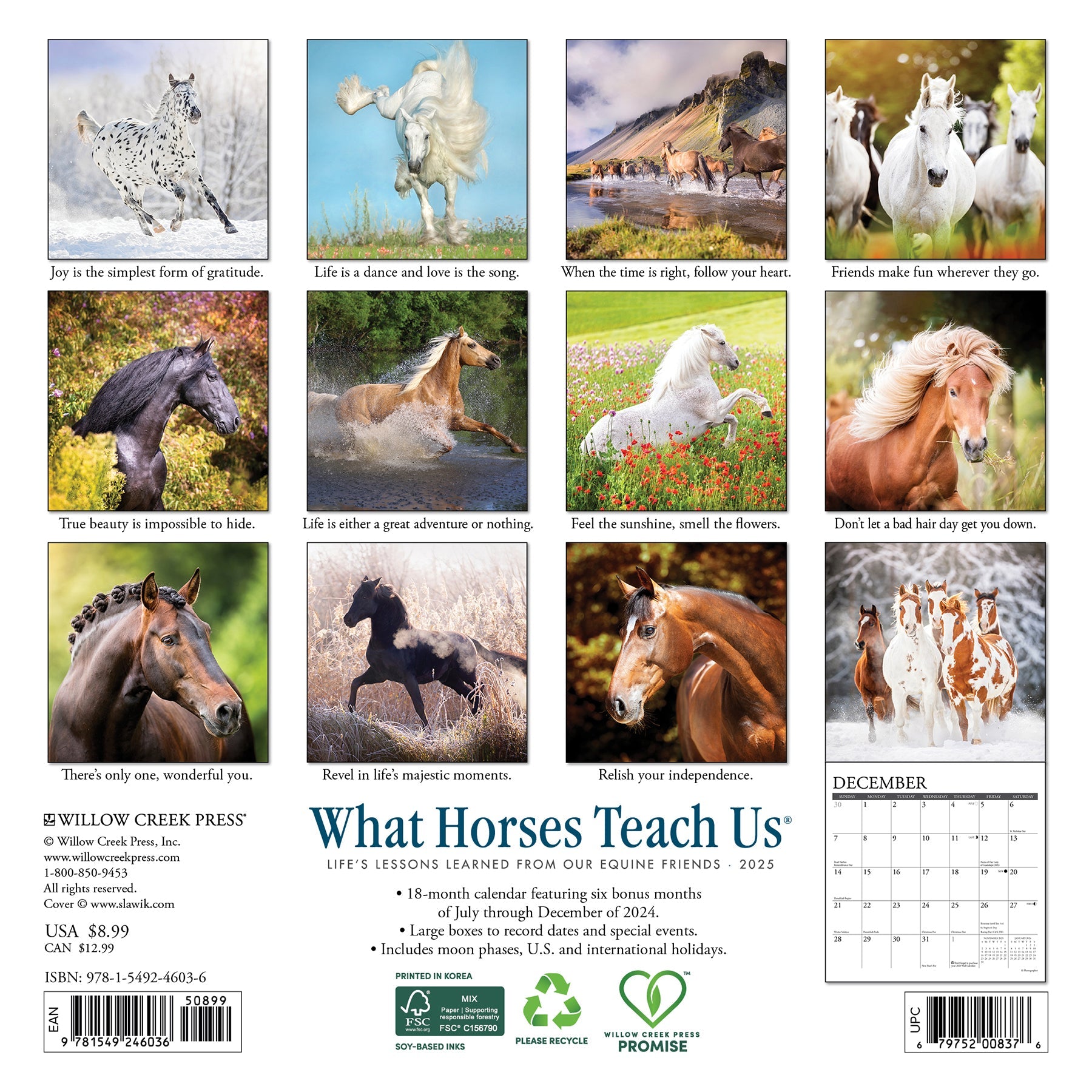 2025 What Horses Teach Us - Mini Wall Calendar (US Only)