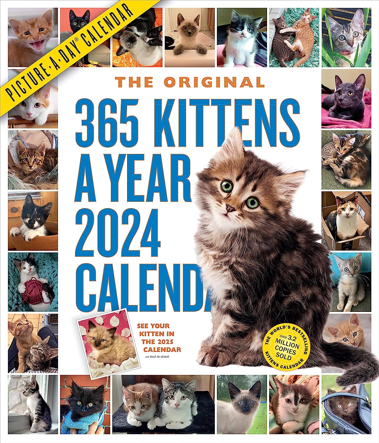 2024 365 Kittens-A-Year - Deluxe Wall Calendar