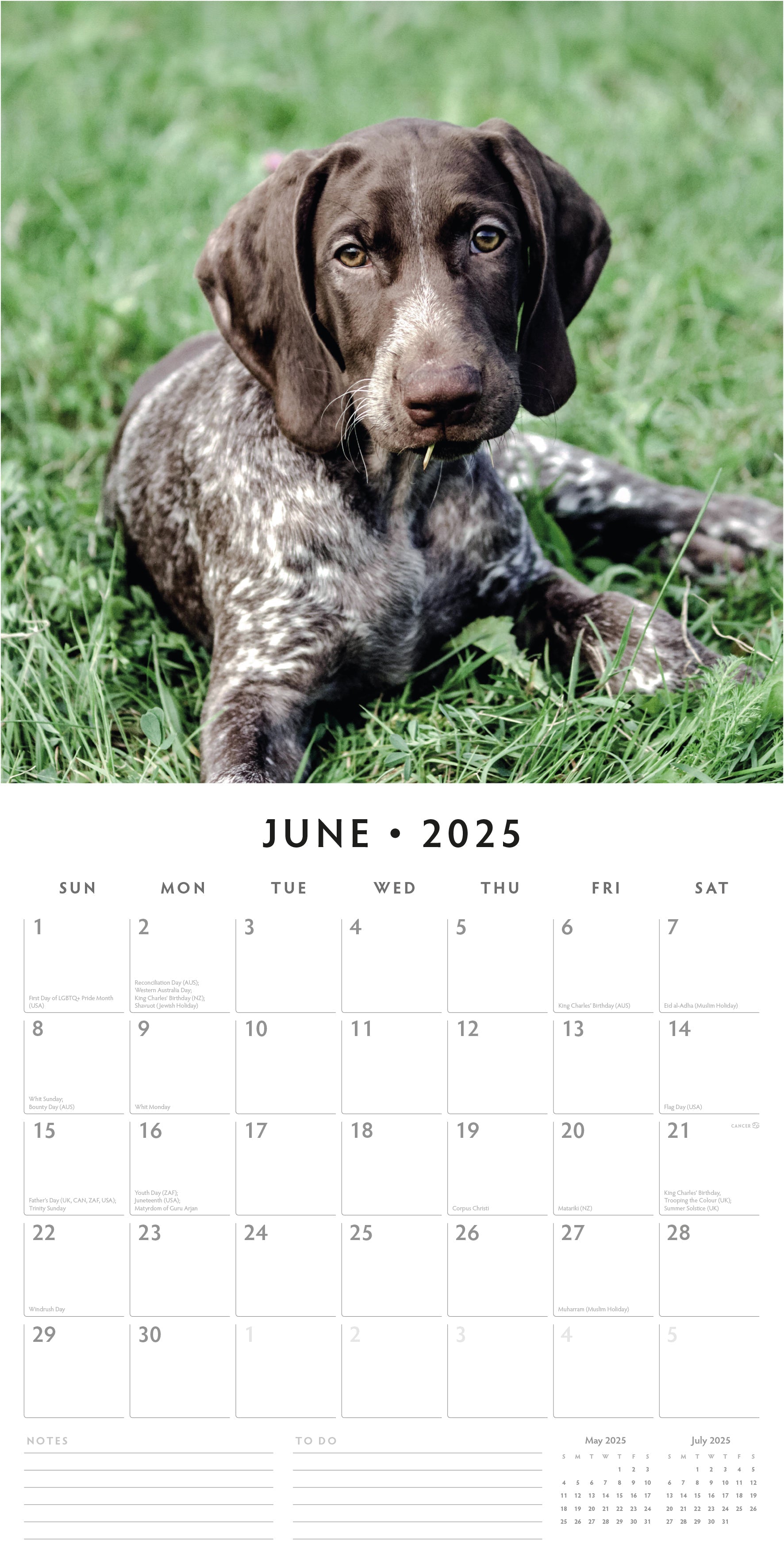 2025 Pointers - Square Wall Calendar