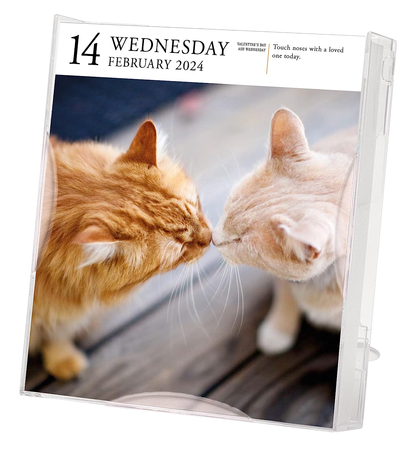 2024 Cat Gallery - Daily Boxed Page-A-Day Calendar