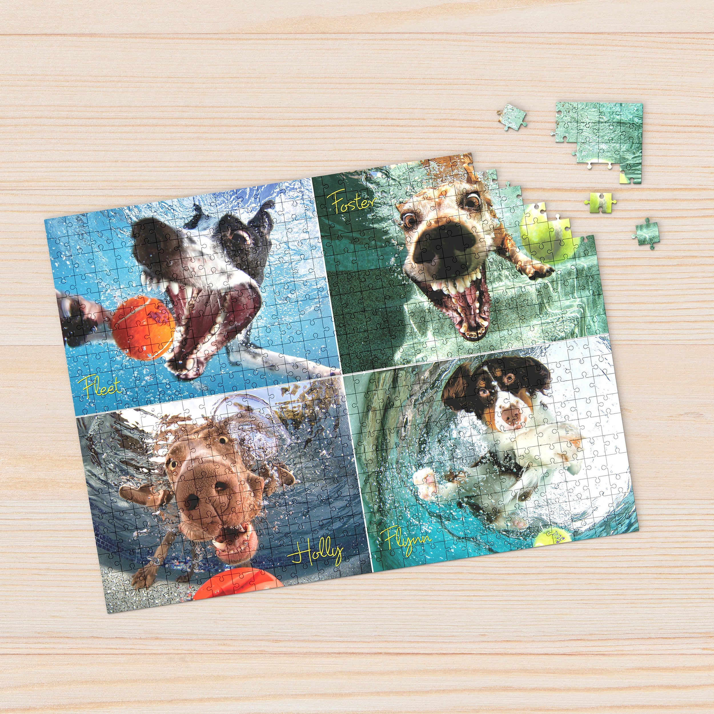 Underwater Dogs: Play Ball 1000 Piece - Jigsaw Puzzle