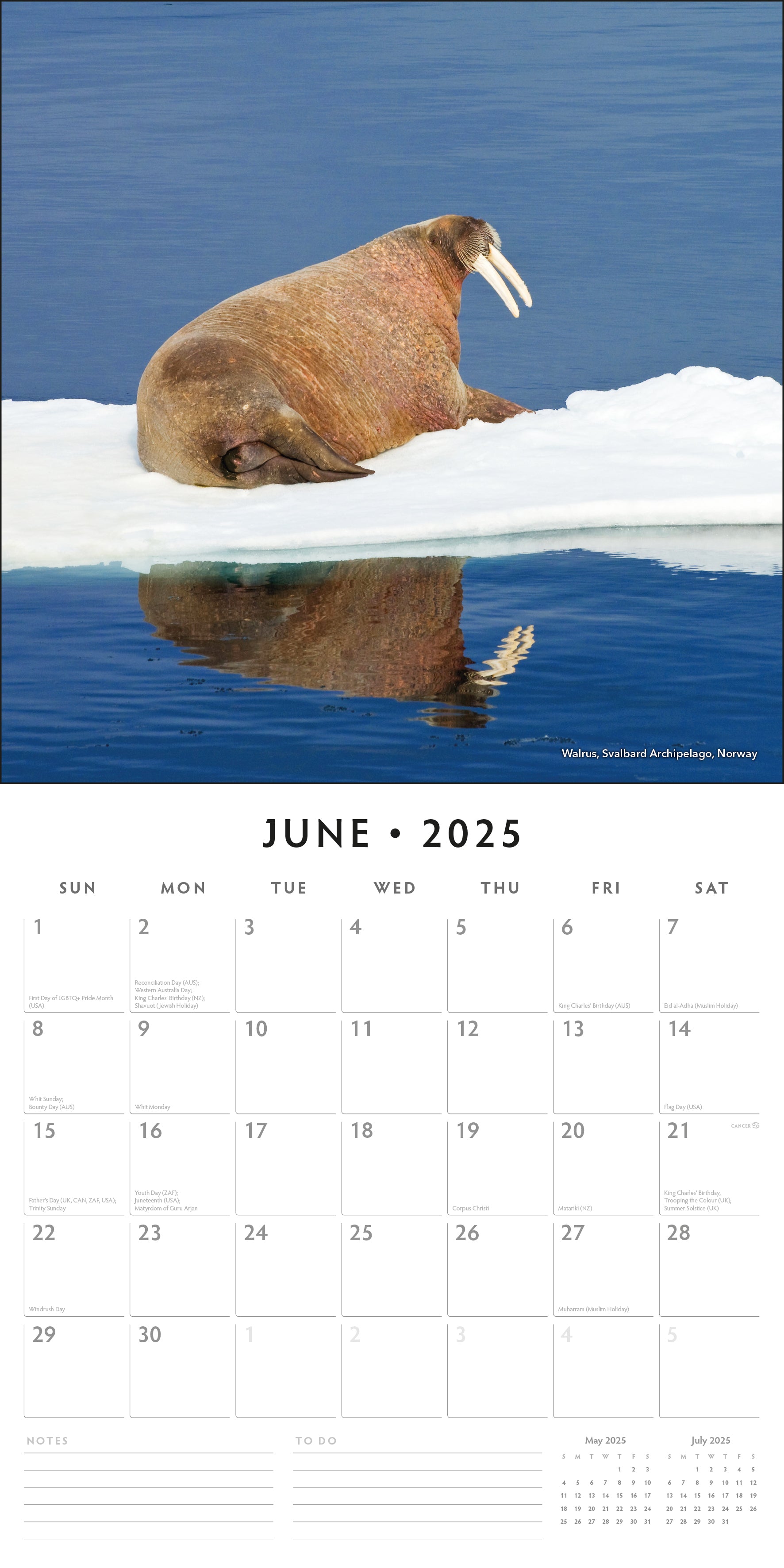 2025 Arctic - Square Wall Calendar