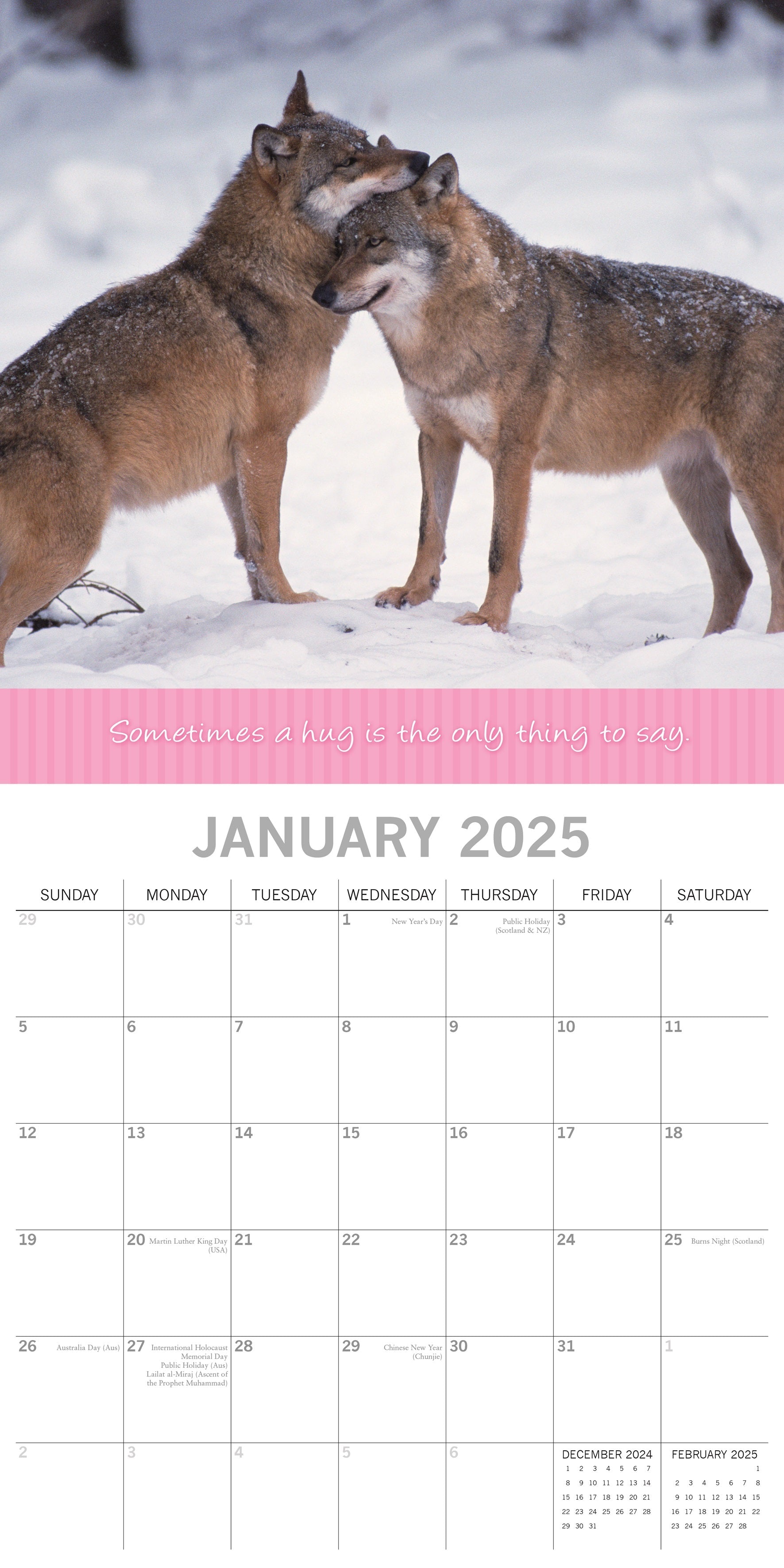 2025 Hugs - Square Wall Calendar