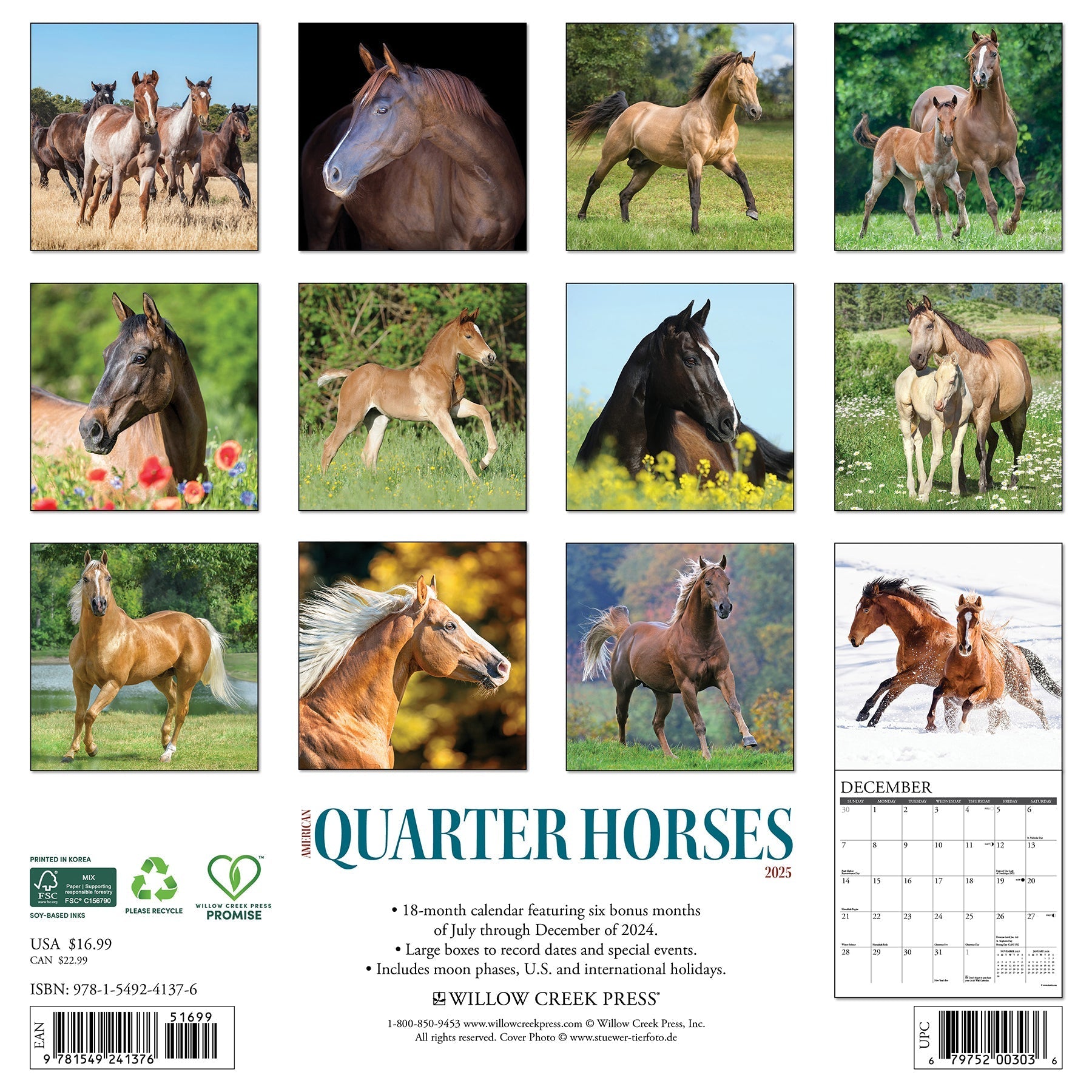 2025 American Quarter Horses - Square Wall Calendar (US Only)