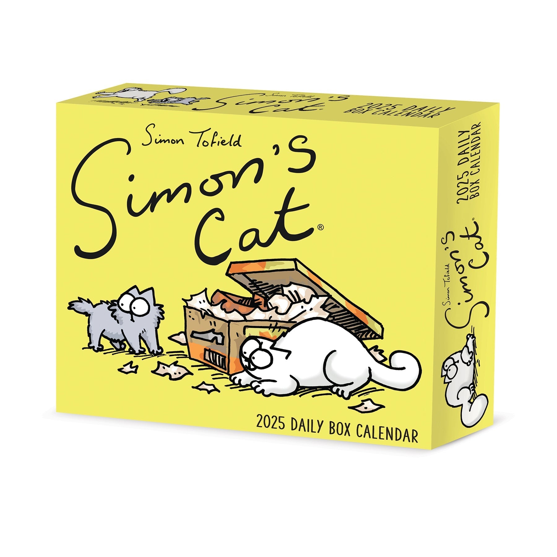 2025 Simon's Cat - Daily Boxed Page-A-Day Calendar (US Only)