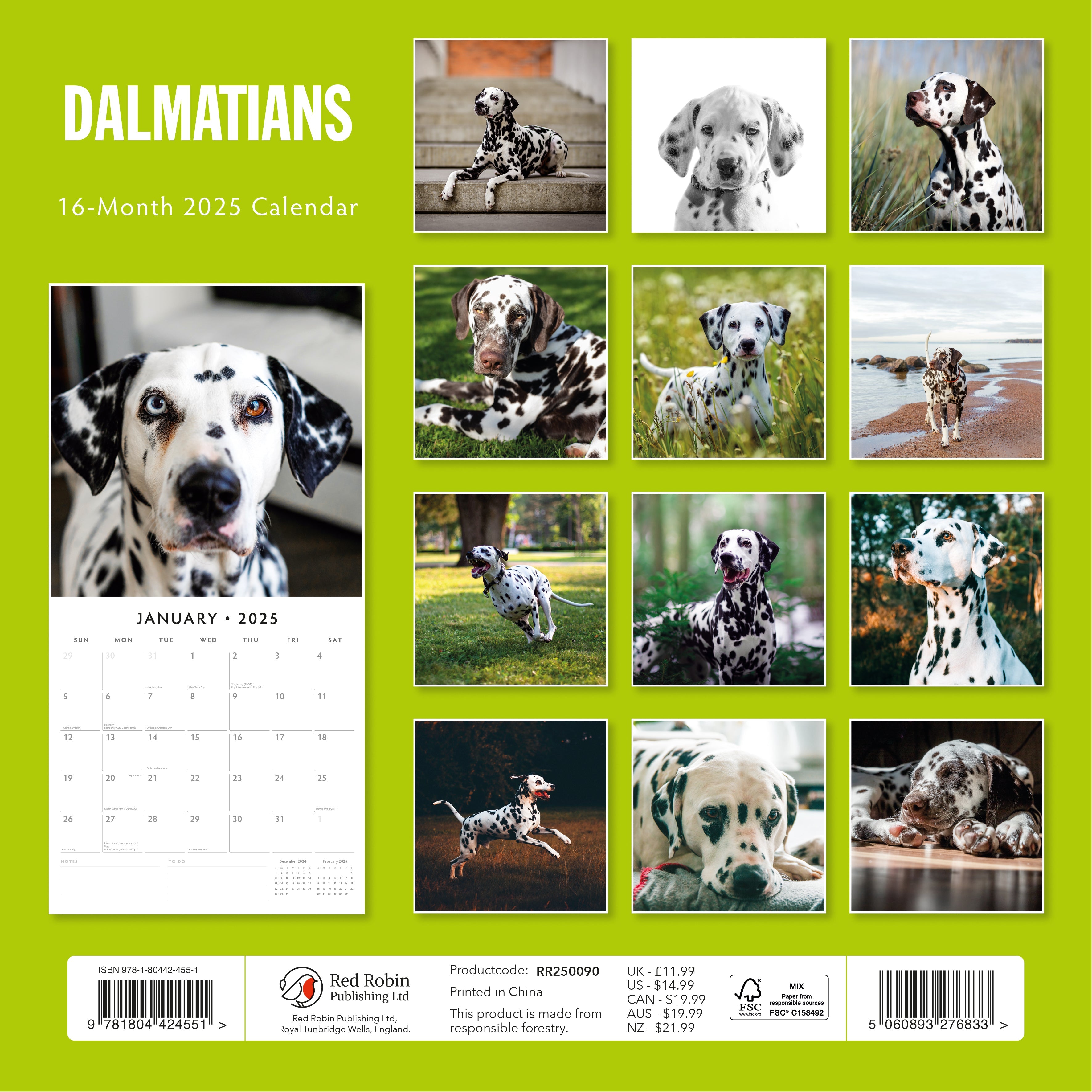 2025 Dalmatians - Square Wall Calendar