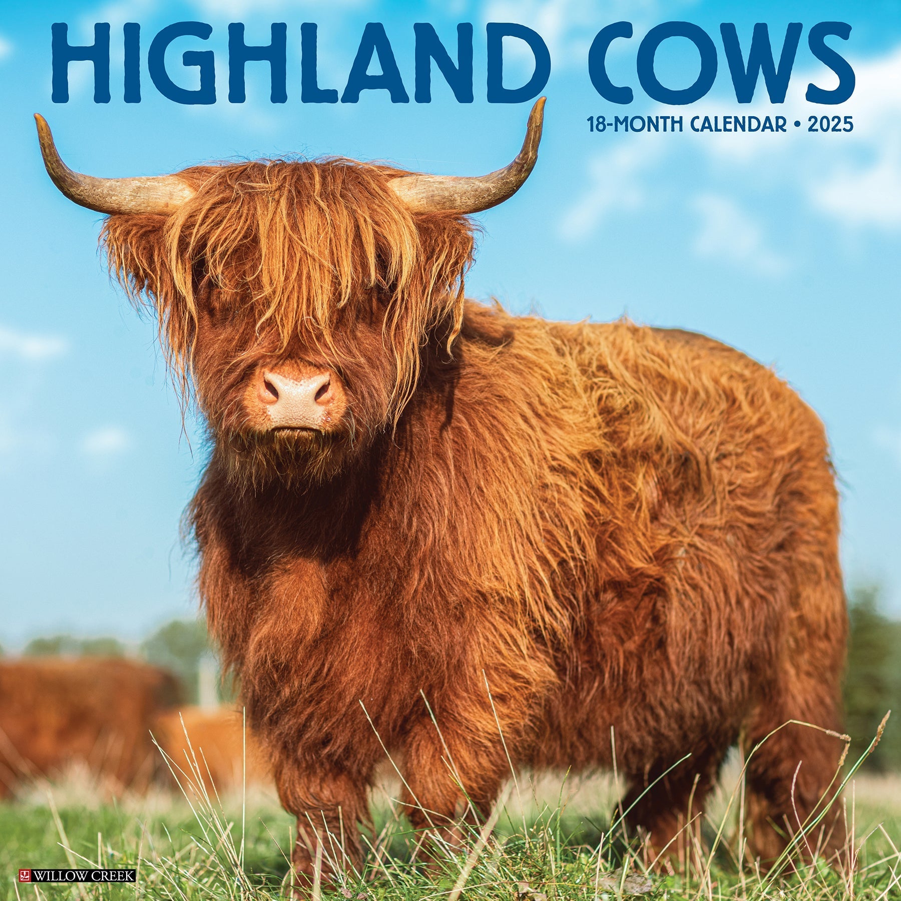 2025 Highland Cows - Square Wall Calendar (US Only)