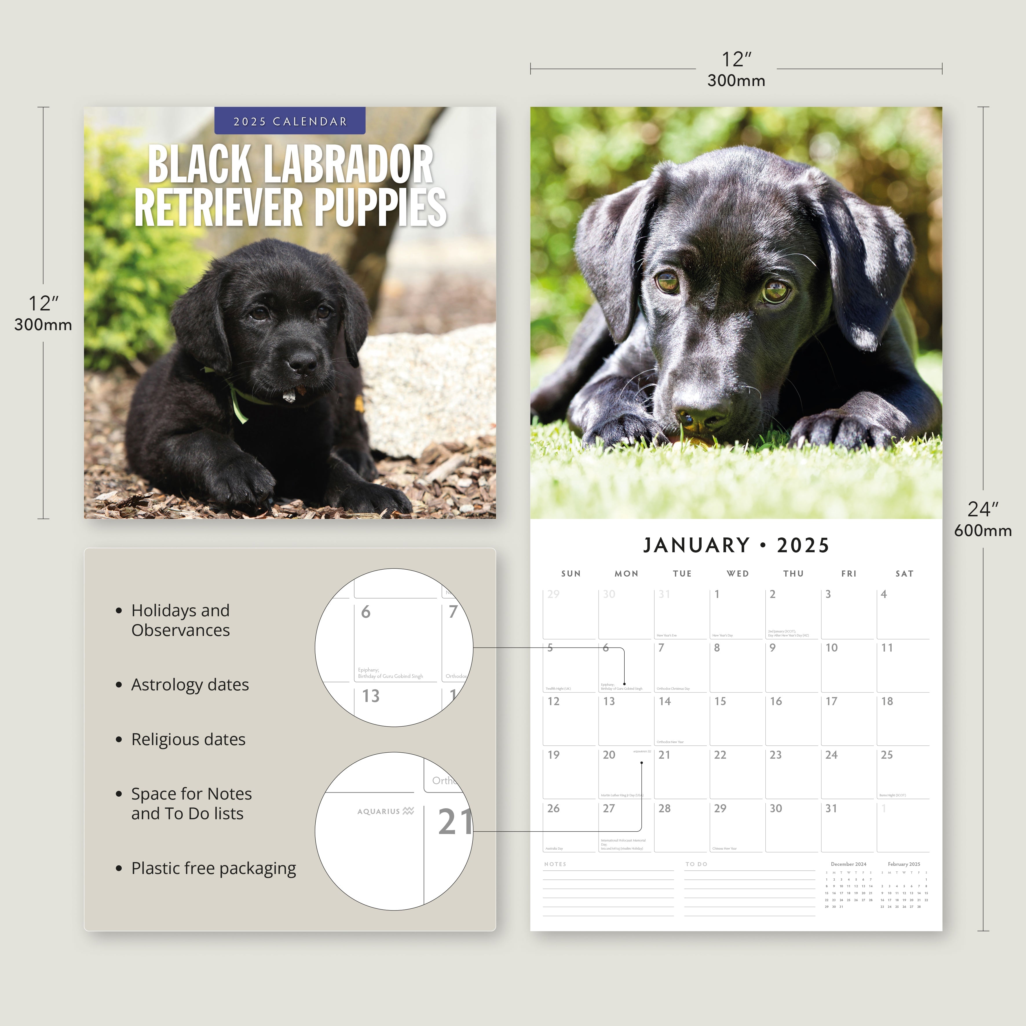 2025 Black Labrador Retriever Puppies - Square Wall Calendar