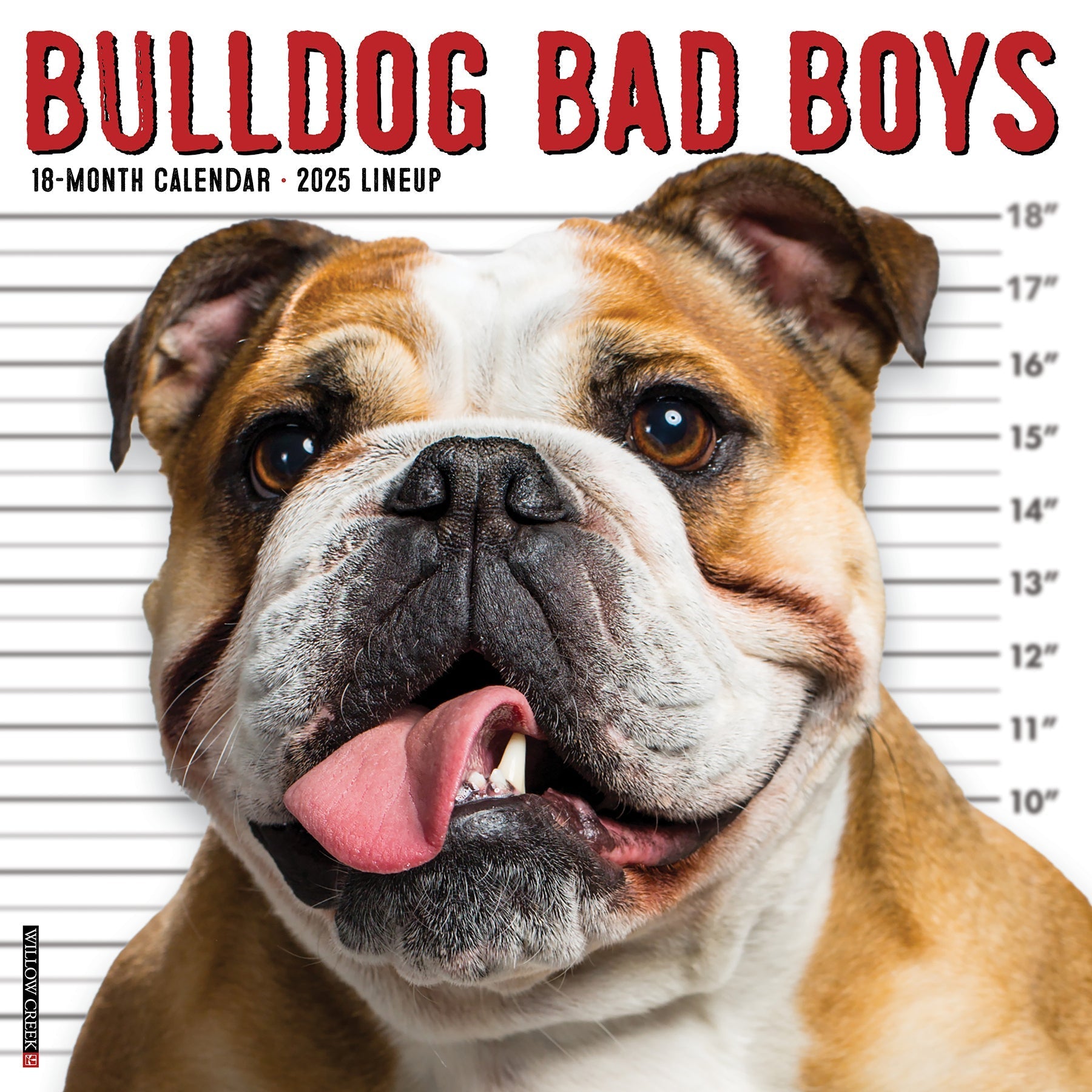 2025 Bulldog Bad Boys - Square Wall Calendar (US Only)