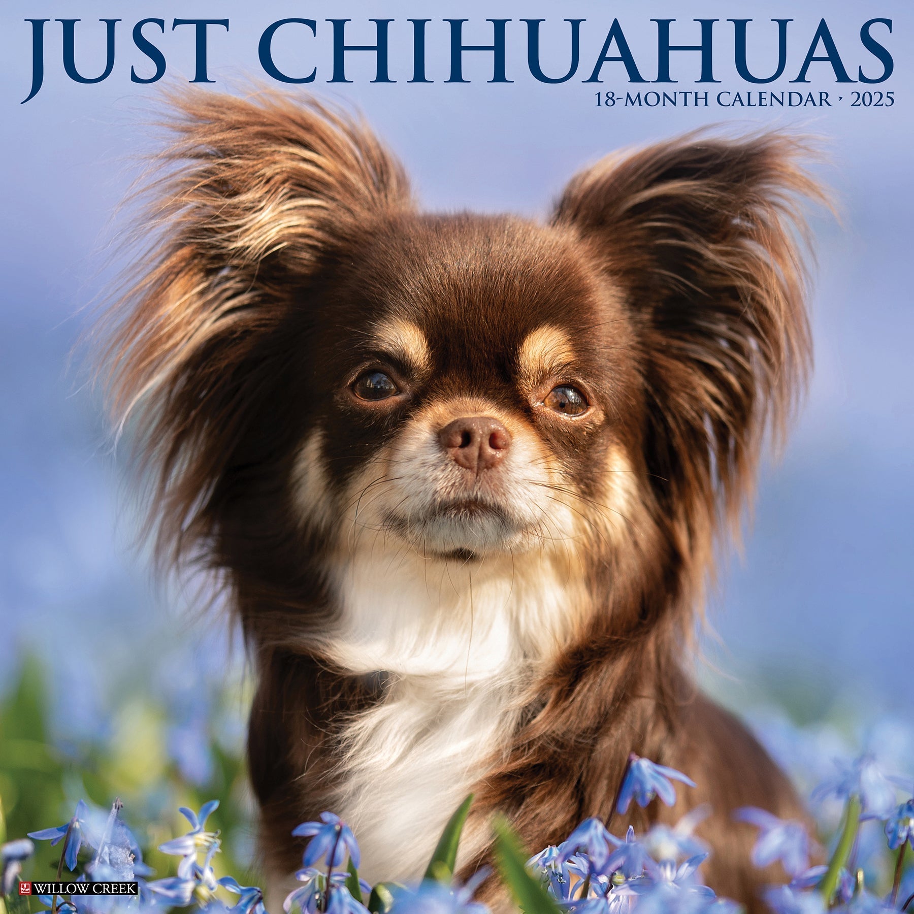 2025 Chihuahuas - Square Wall Calendar (US Only)