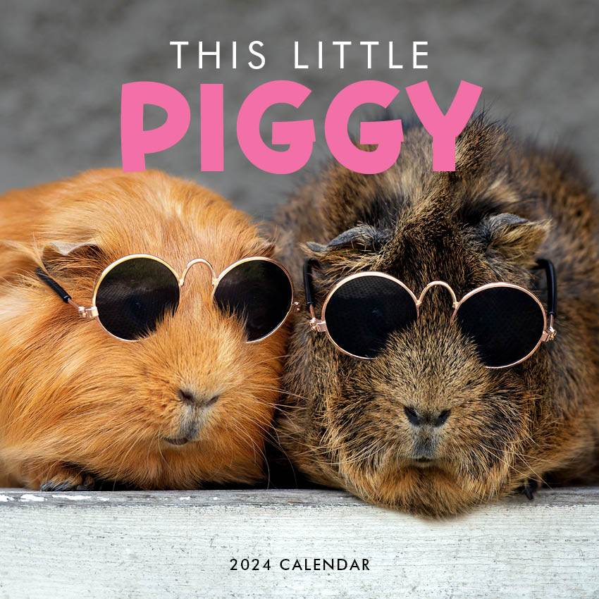 2024 This Little Piggy - Square Wall Calendar
