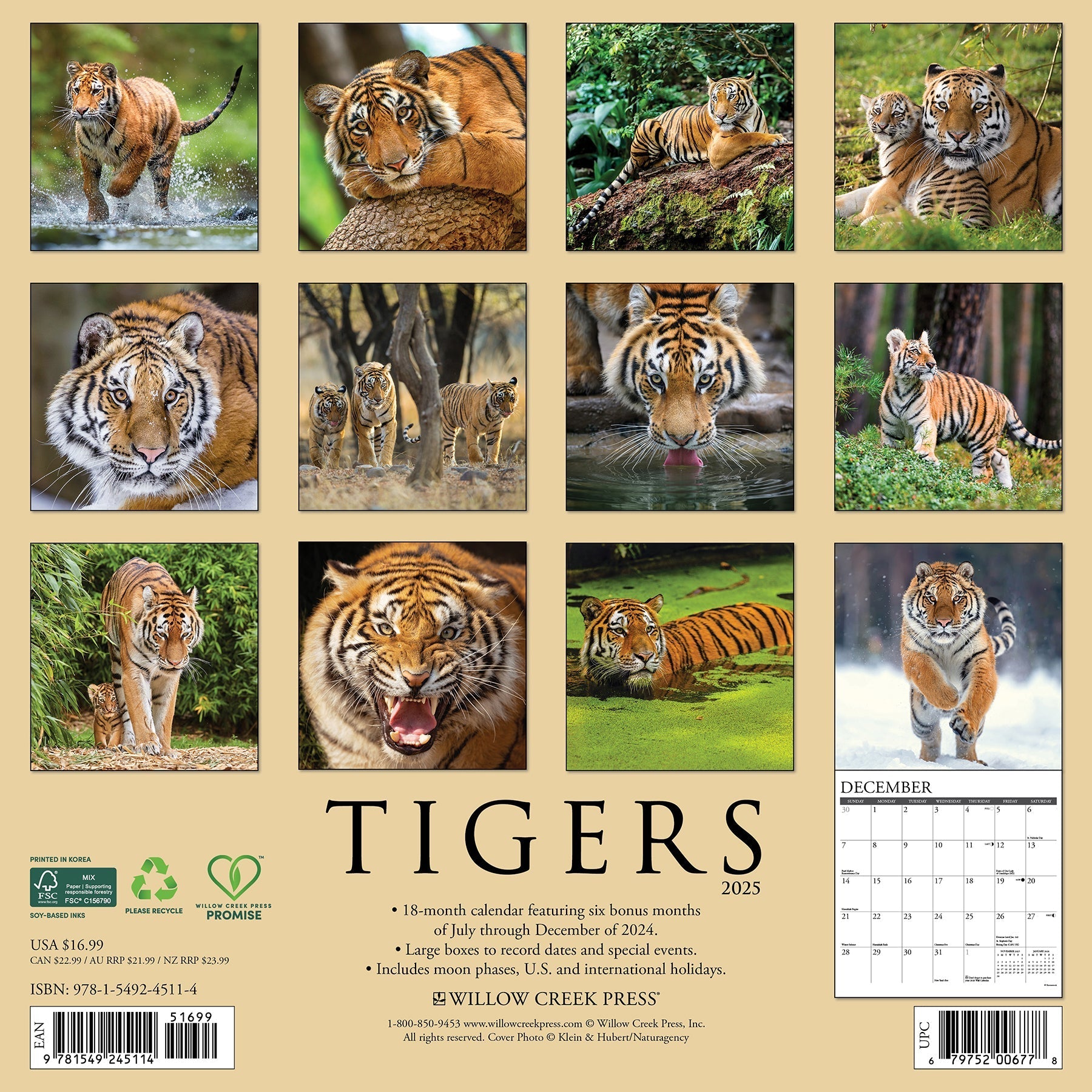 2025 Tigers - Square Wall Calendar (US Only)