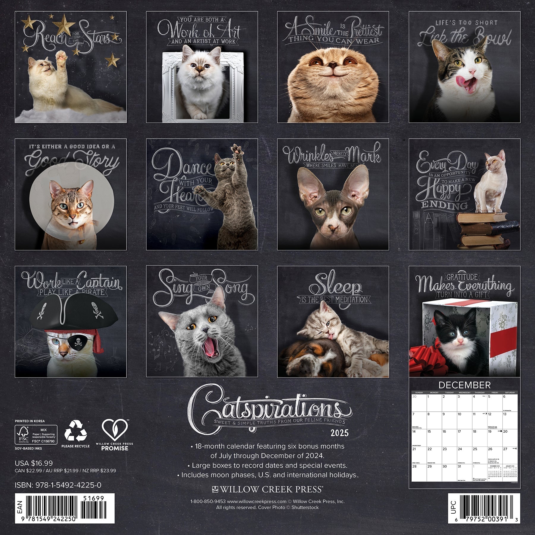 2025 Catspirations - Square Wall Calendar (US Only)