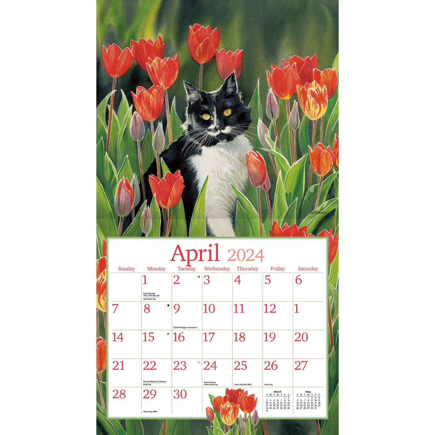 2024 LANG Cats In The Country By Susan Bourdet - Deluxe Wall Calendar