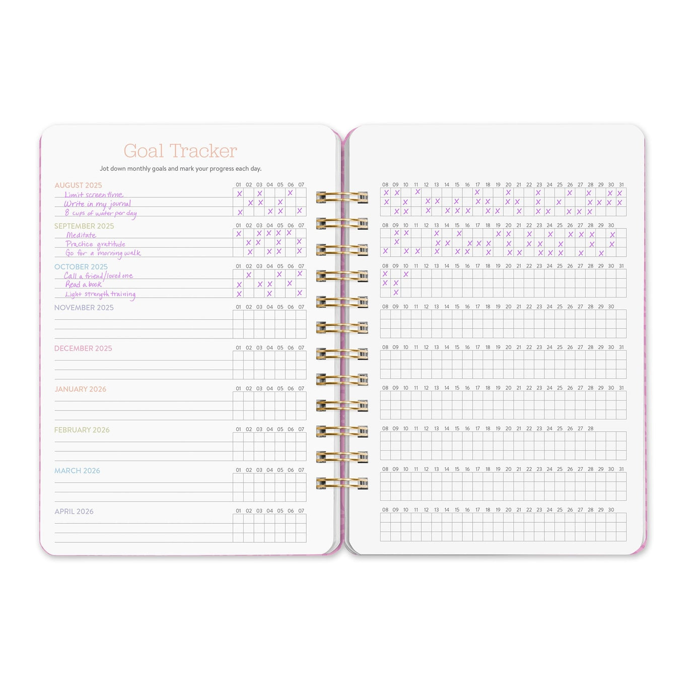 2026 Catching Color Do It All - 17-Month Monthly & Weekly Diary/Planner