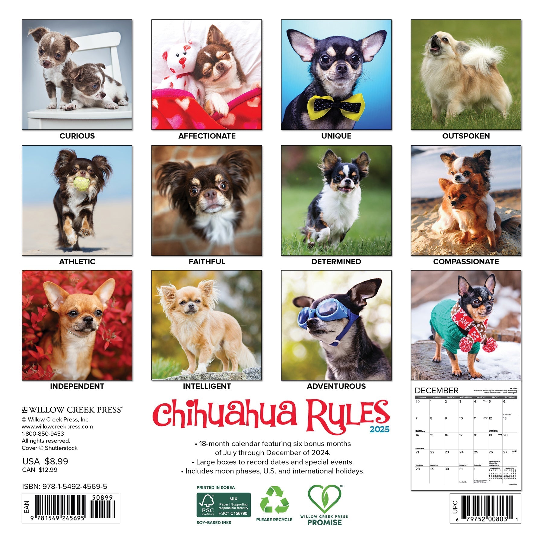 2025 Chihuahua Rules - Mini Wall Calendar (US Only)