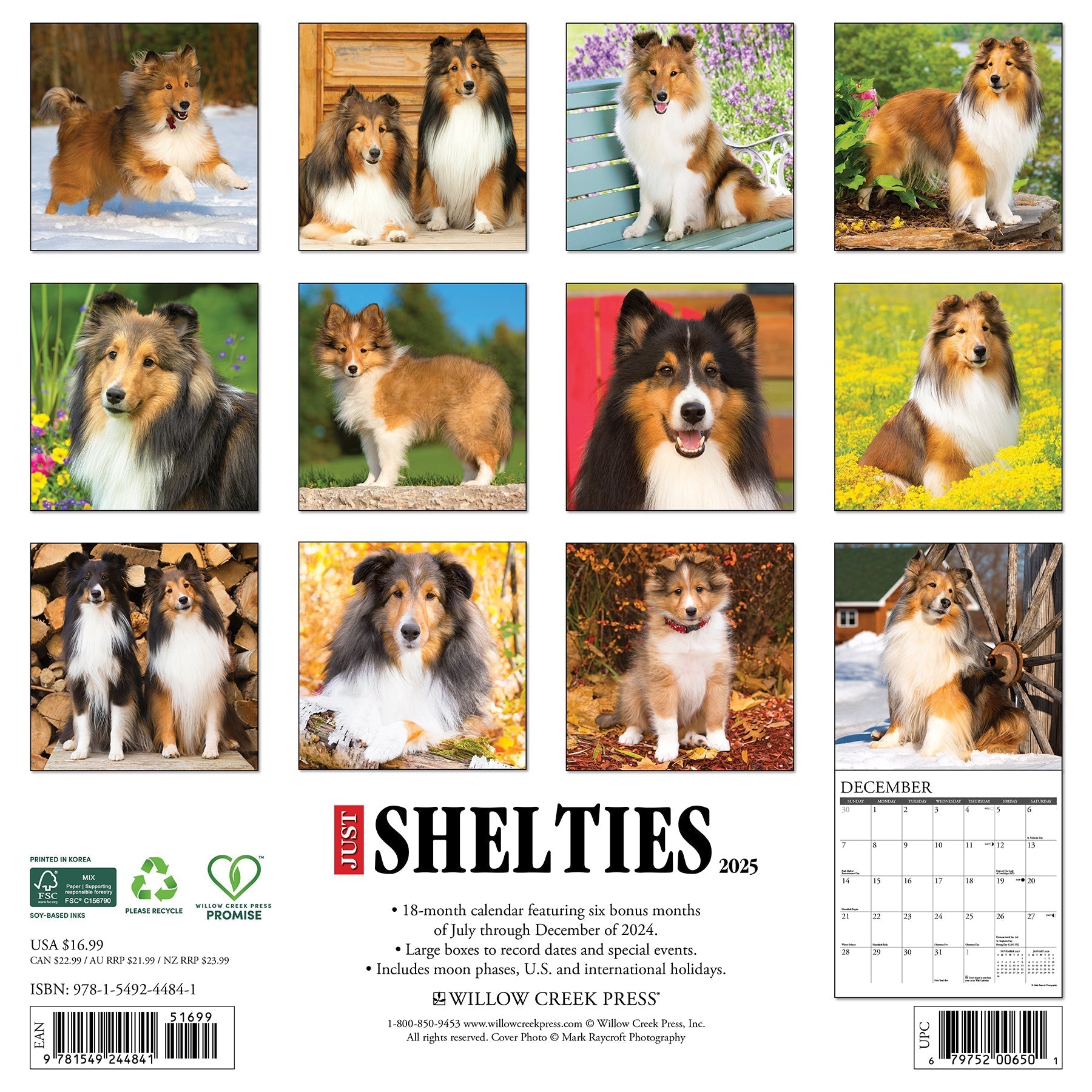 2025 Shelties - Square Wall Calendar (US Only)