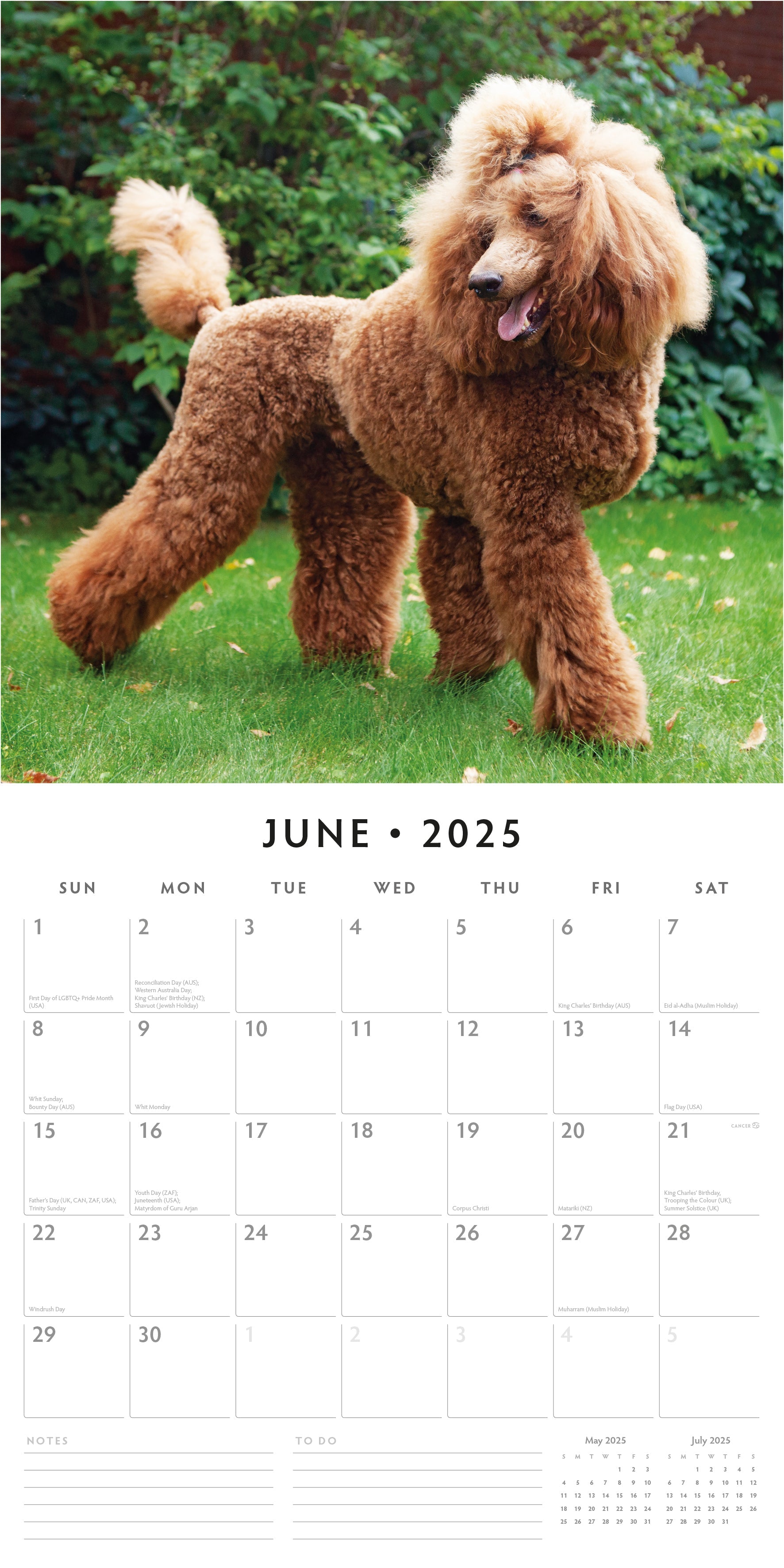 2025 Poodles - Square Wall Calendar