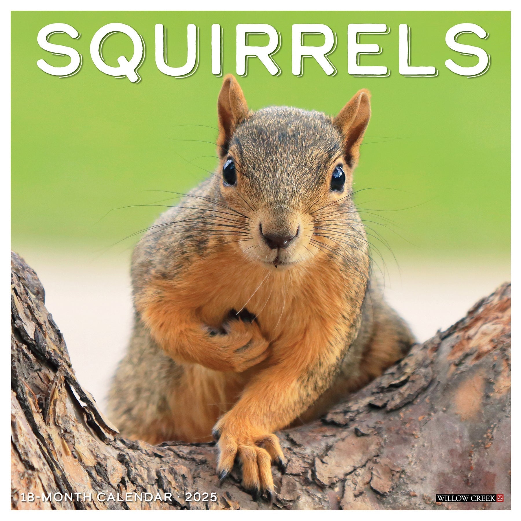 2025 Squirrels - Square Wall Calendar (US Only)