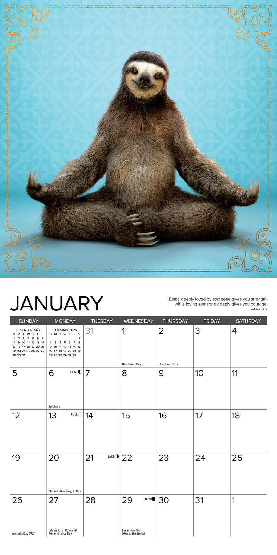 2025 Sloth Yoga - Mini Wall Calendar (US Only)