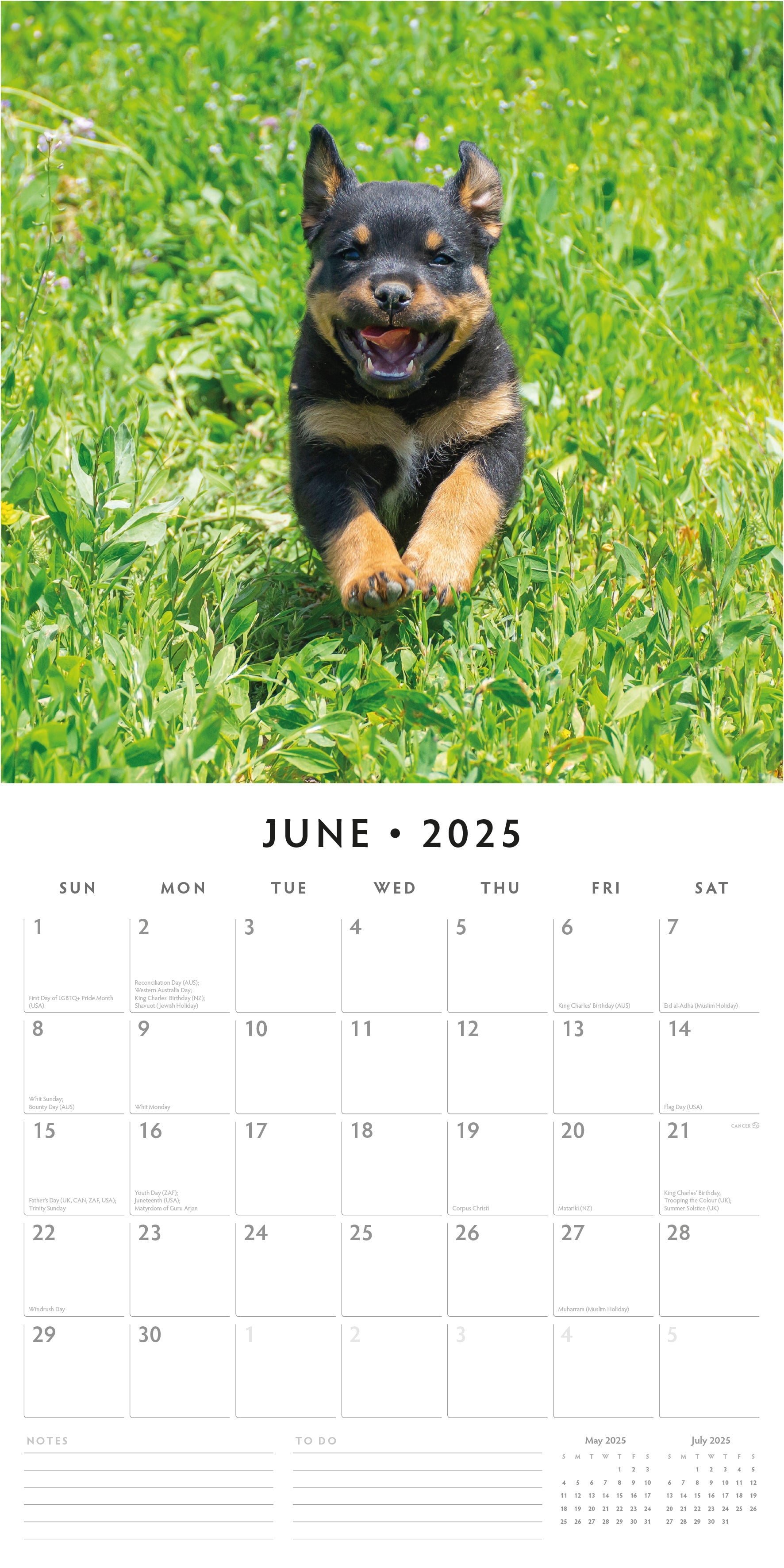 2025 Rottweiler Puppies - Square Wall Calendar