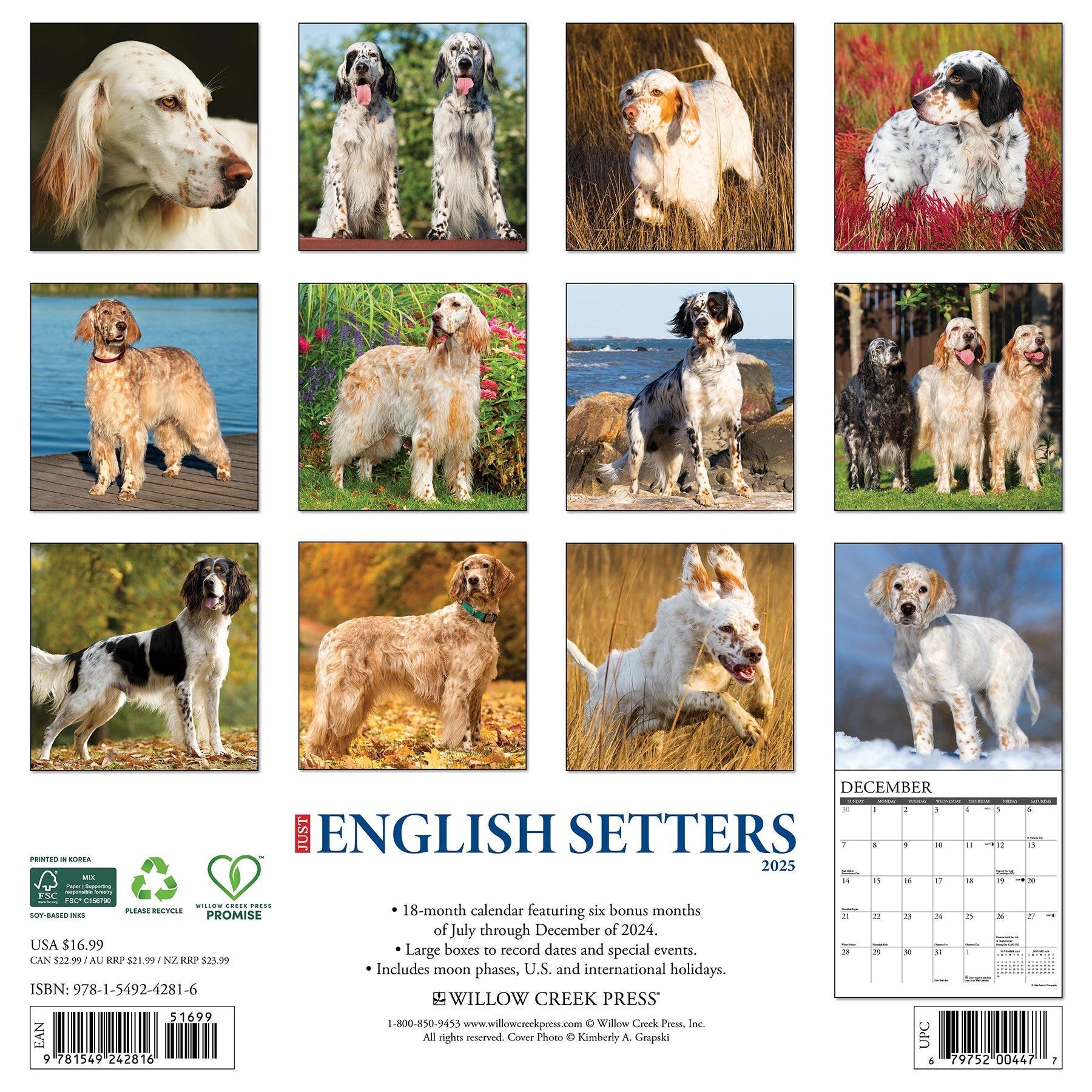 2025 English Setters - Square Wall Calendar (US Only)