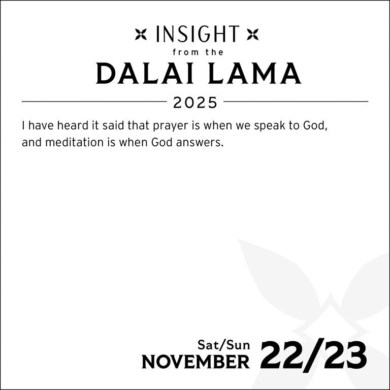 2025 Insight from the Dalai Lama - Daily Boxed Page-A-Day Calendar