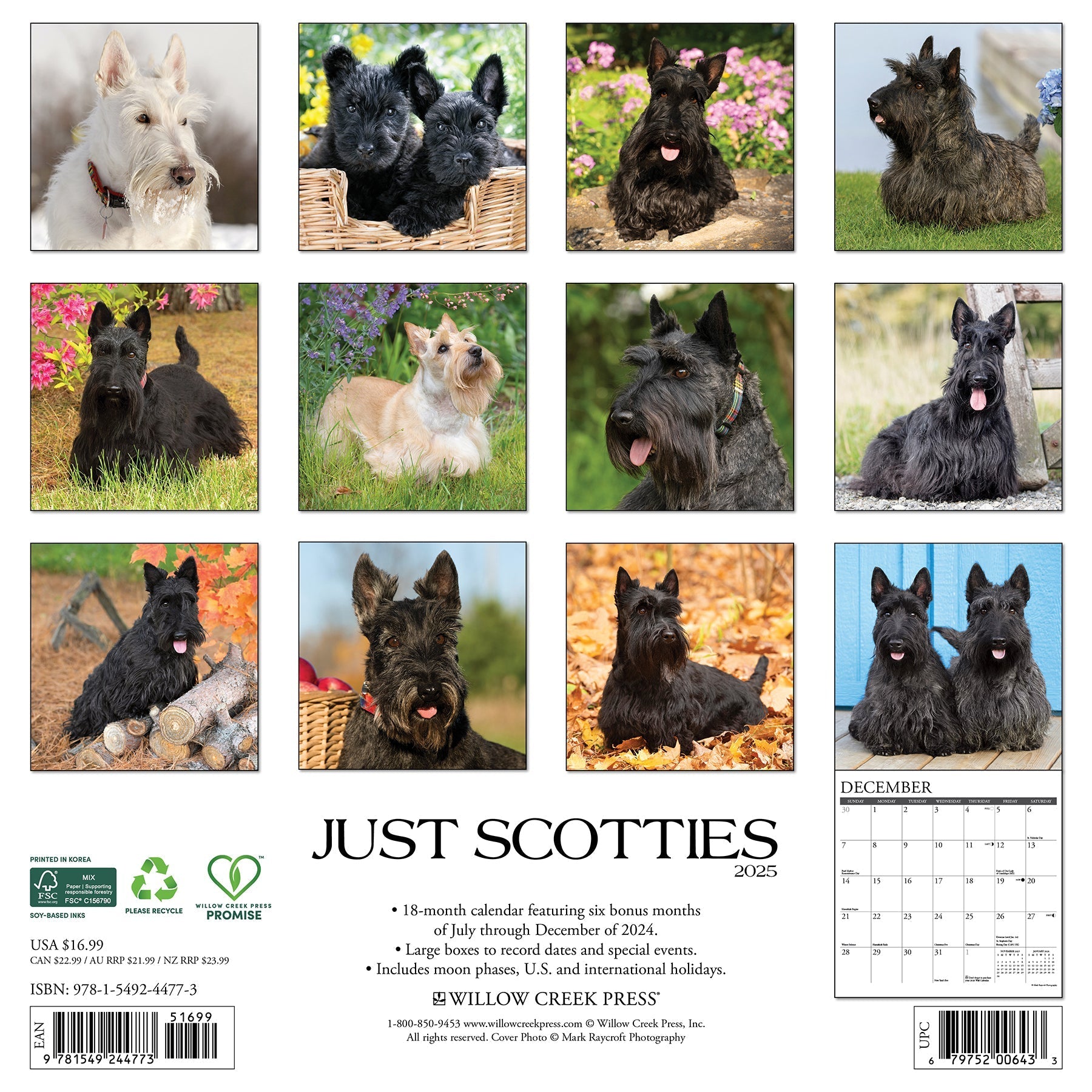 2025 Scotties - Square Wall Calendar (US Only)