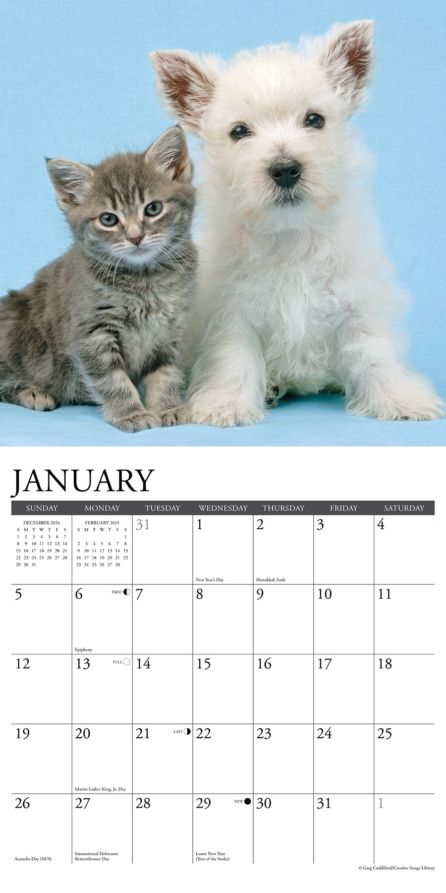 2025 Kittens & Puppies - Square Wall Calendar (US Only)