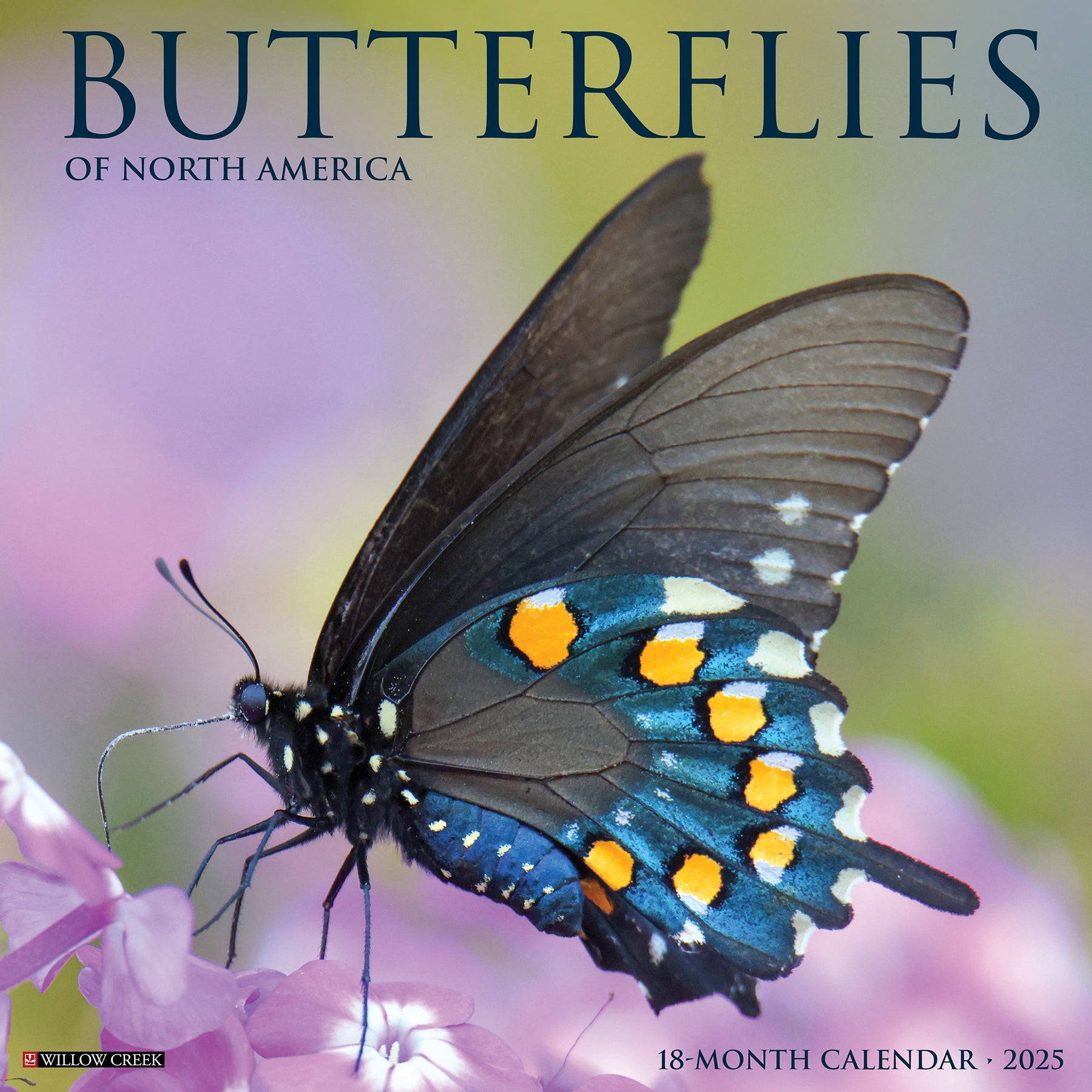 2025 Butterflies - Square Wall Calendar (US Only)
