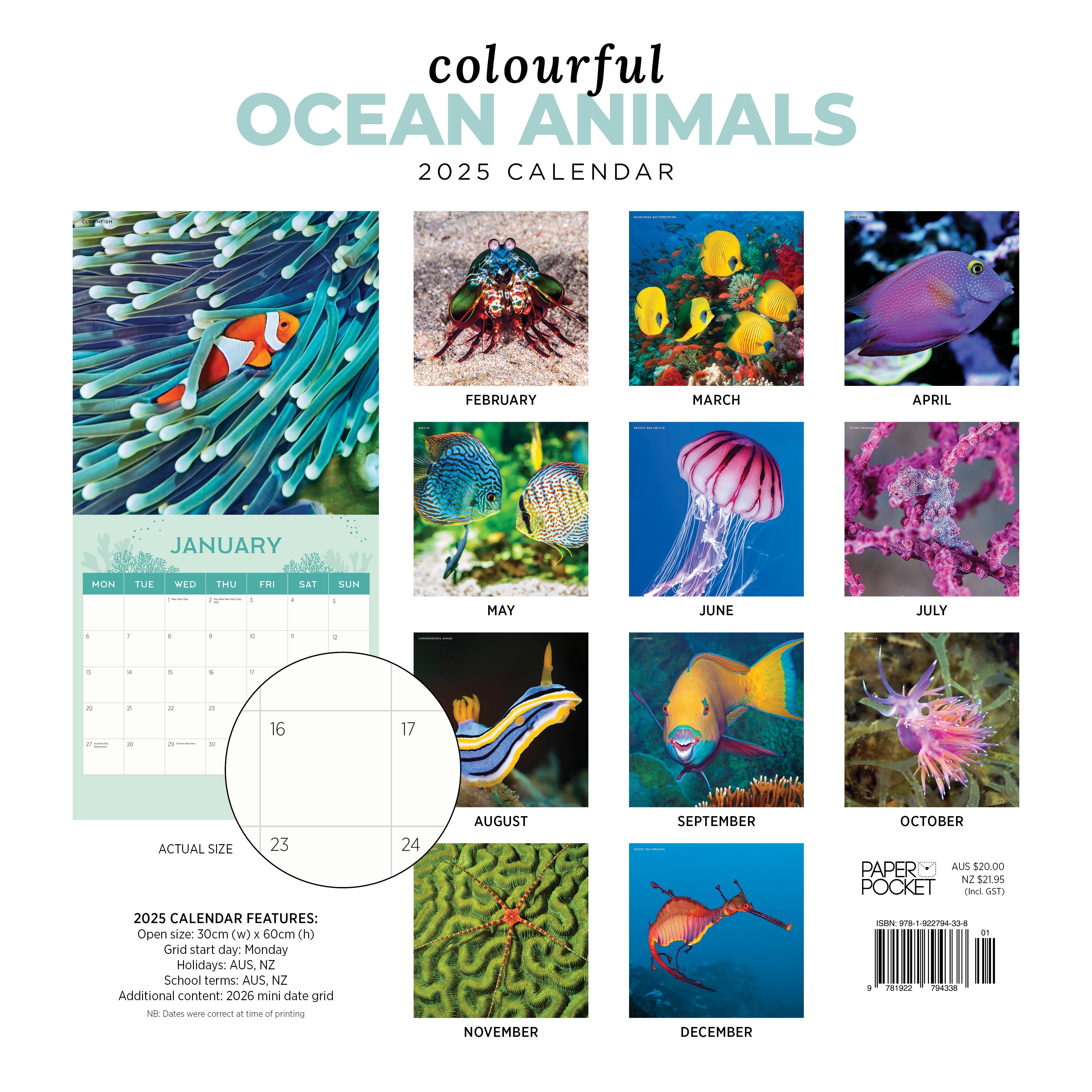 2025 Colourful Ocean Animals - Square Wall Calendar