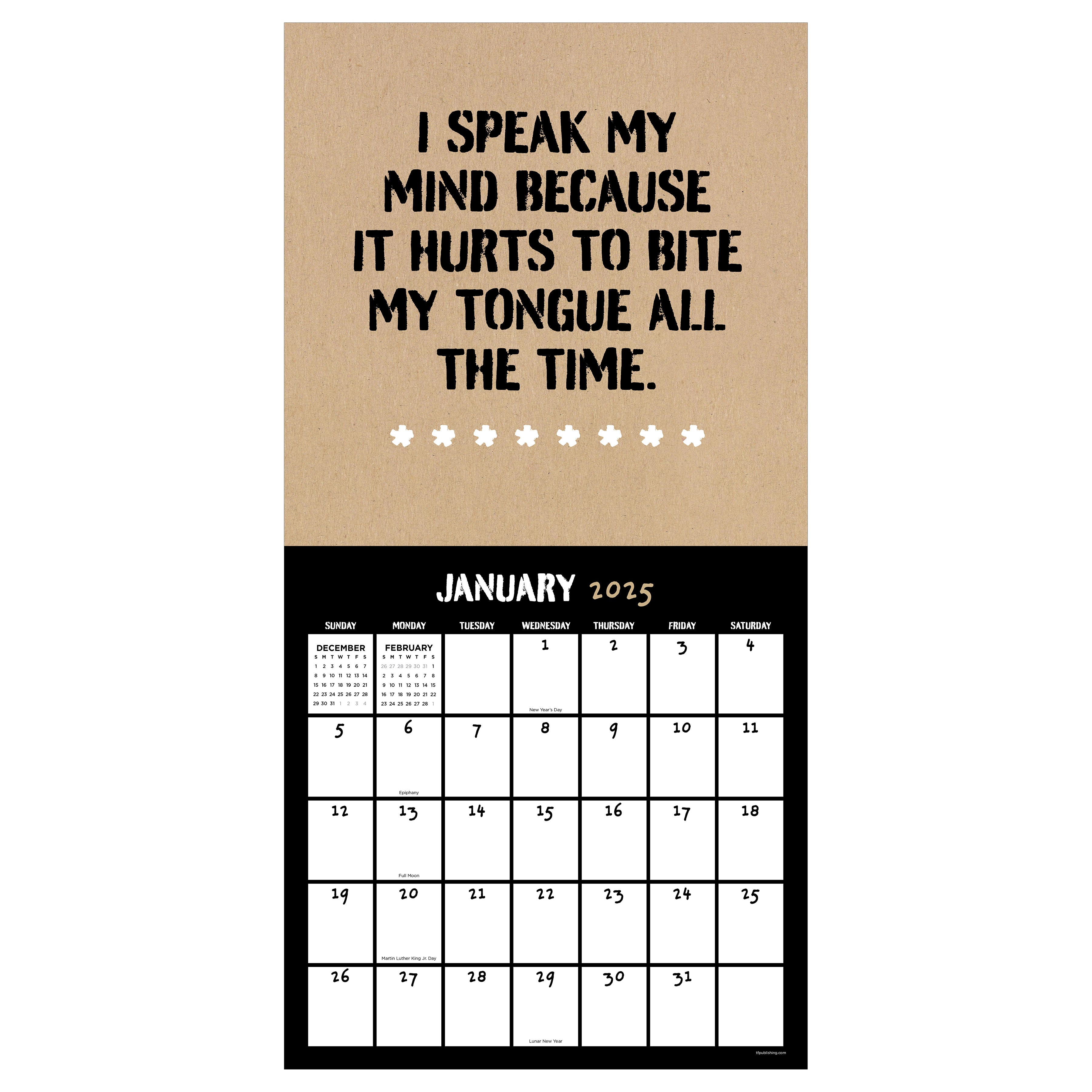 2025 Anti-Affirmations - Square Wall Calendar