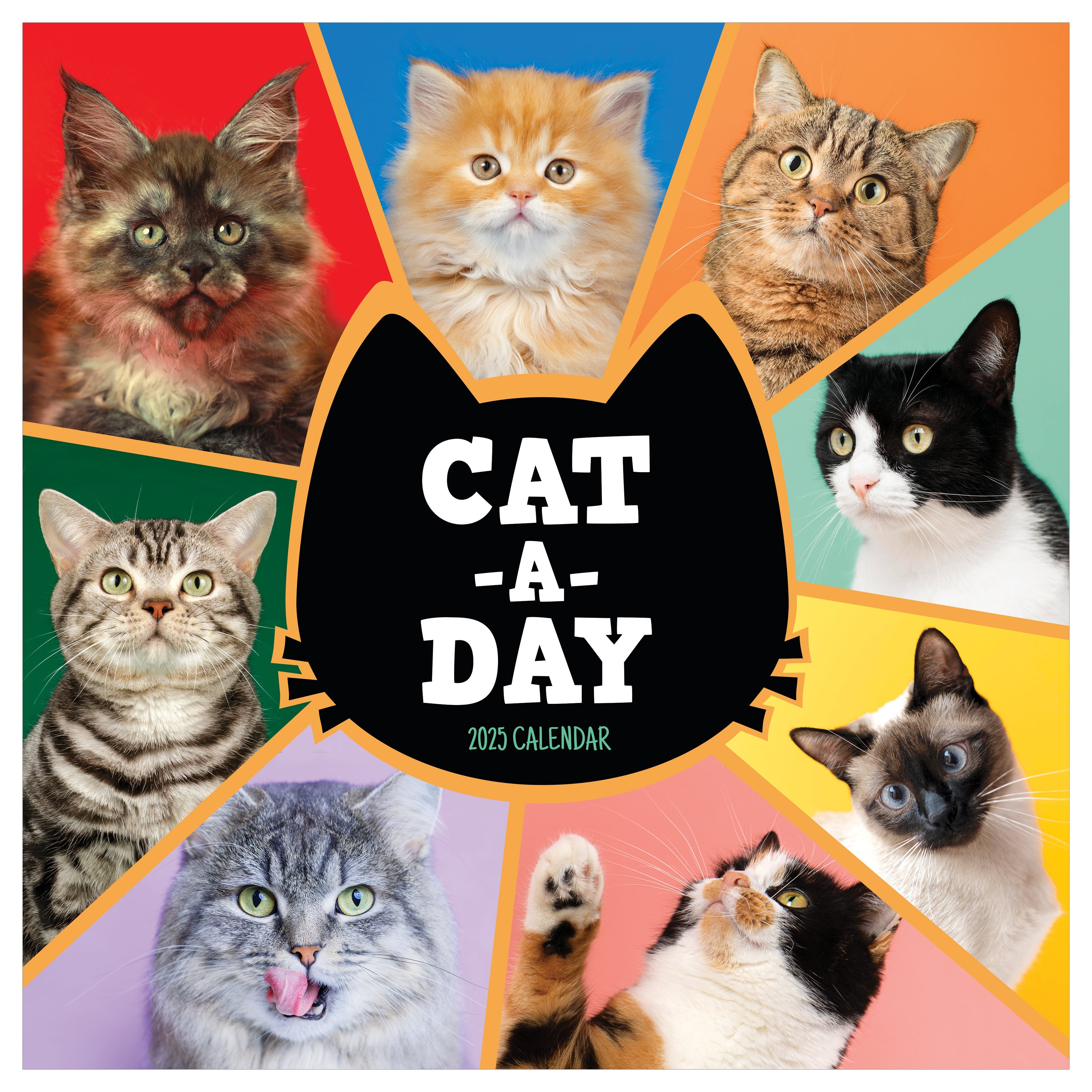 2025 Cat-A-Day - Square Wall Calendar