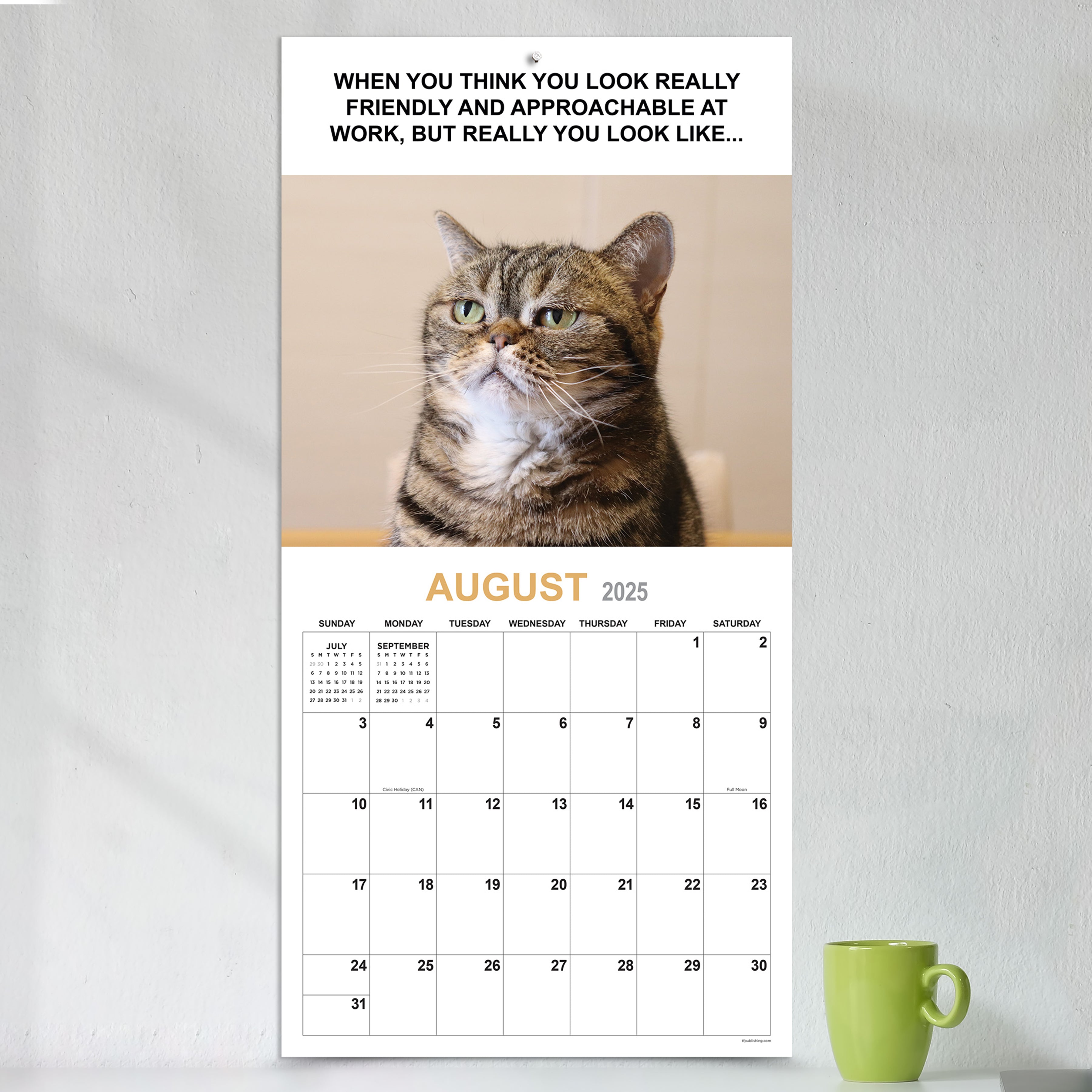 2025 Corporate Cats - Square Wall Calendar