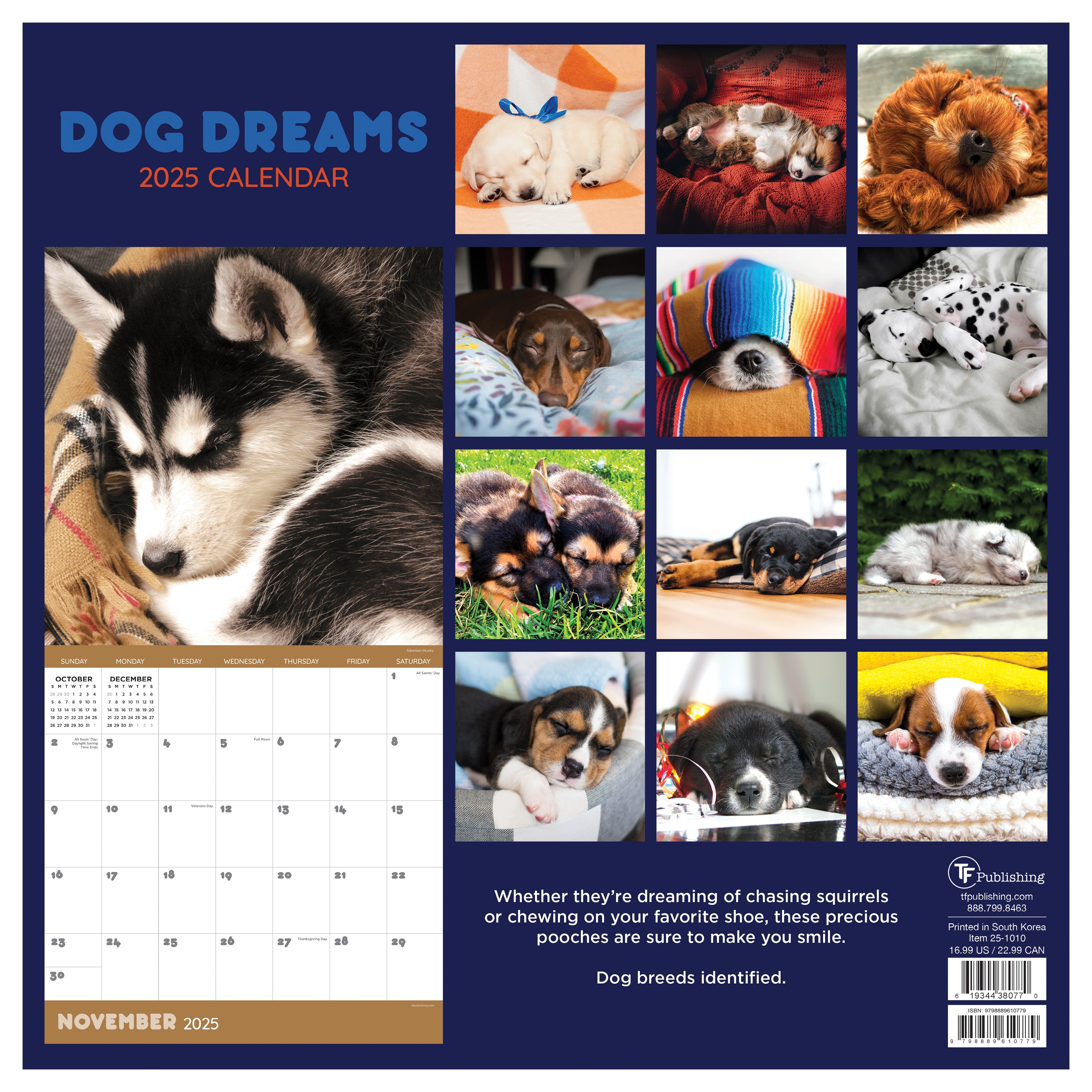 2025 Dog Dreams - Square Wall Calendar