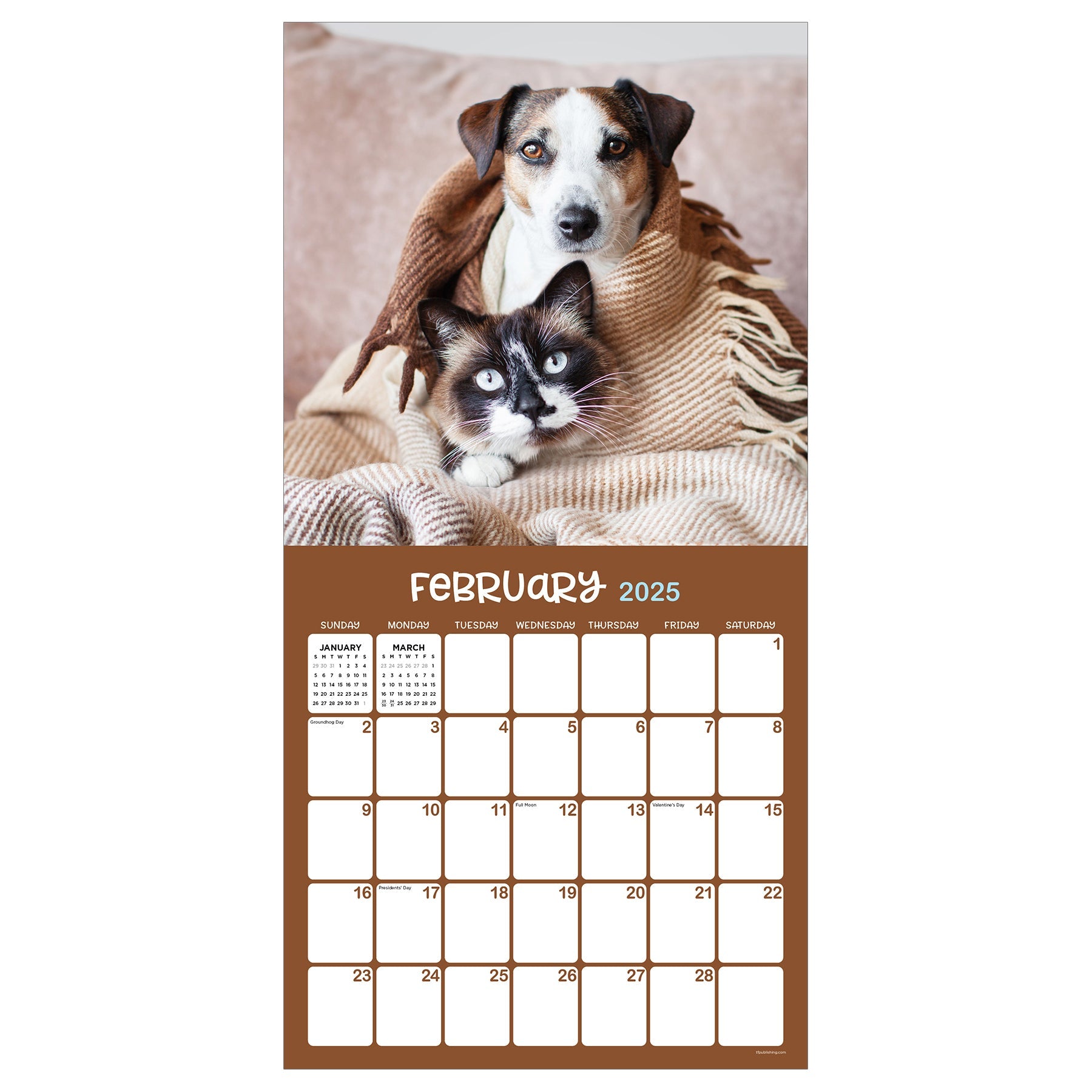 2025 Furry Friends - Square Wall Calendar