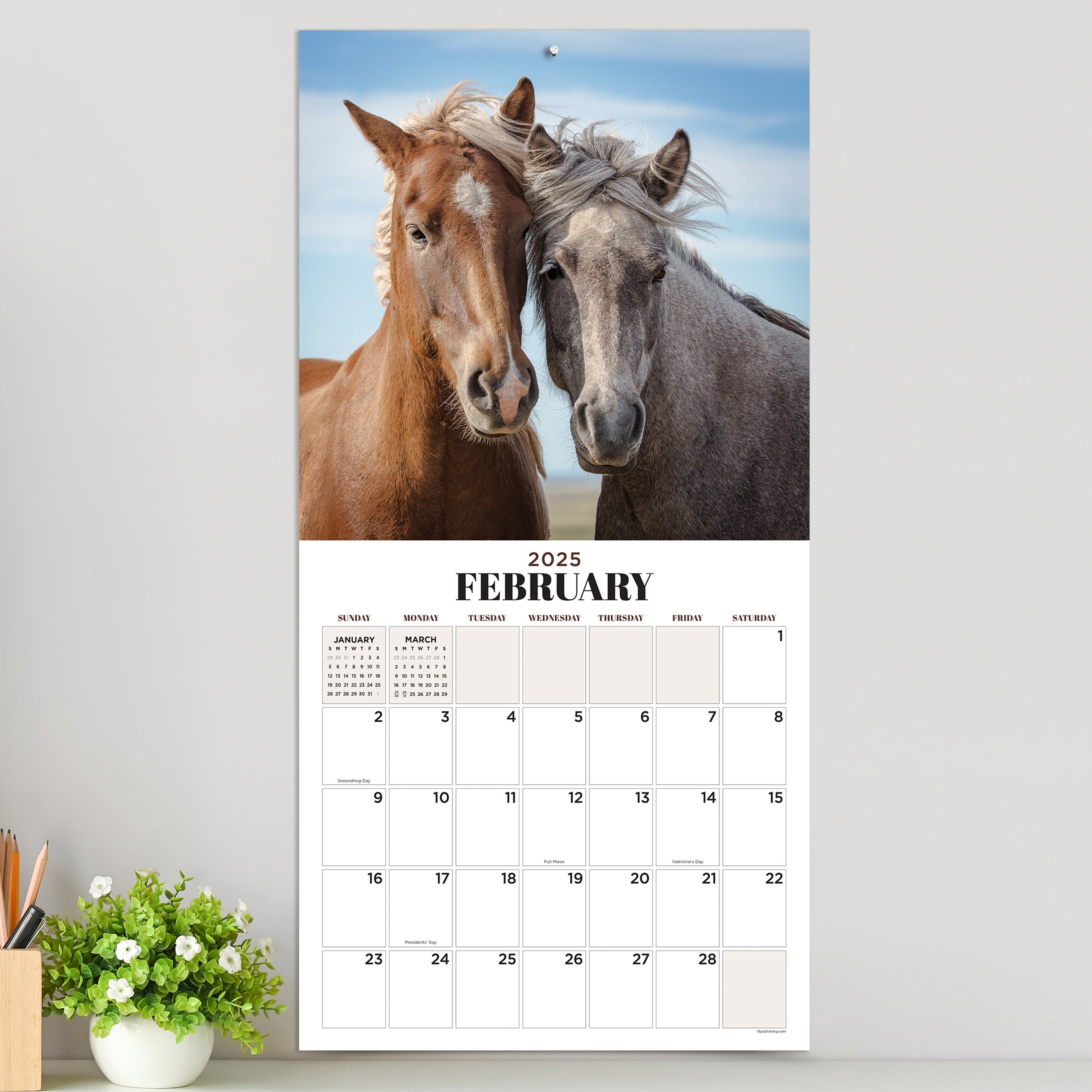 2025 Horses by TF - Square Wall Calendar