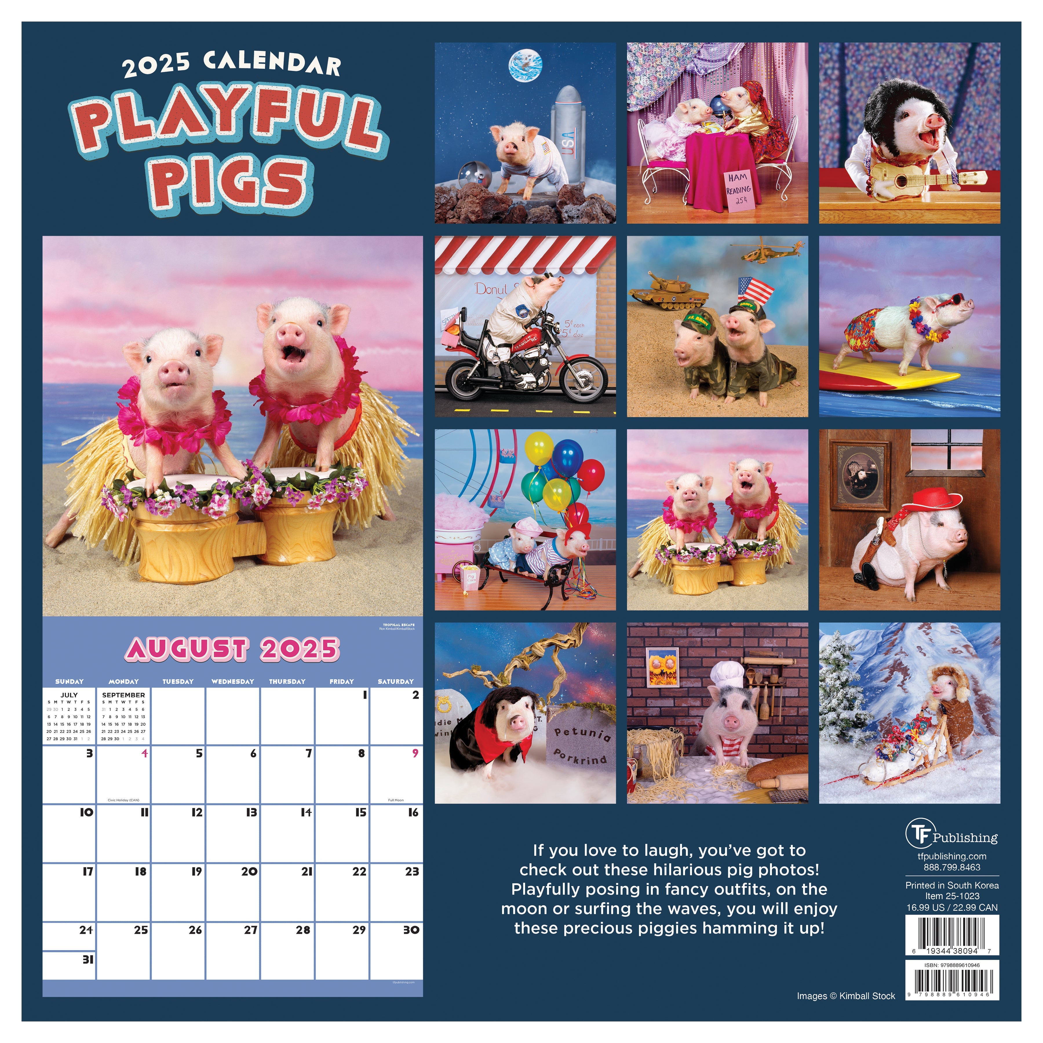 2025 Playful Pigs - Square Wall Calendar