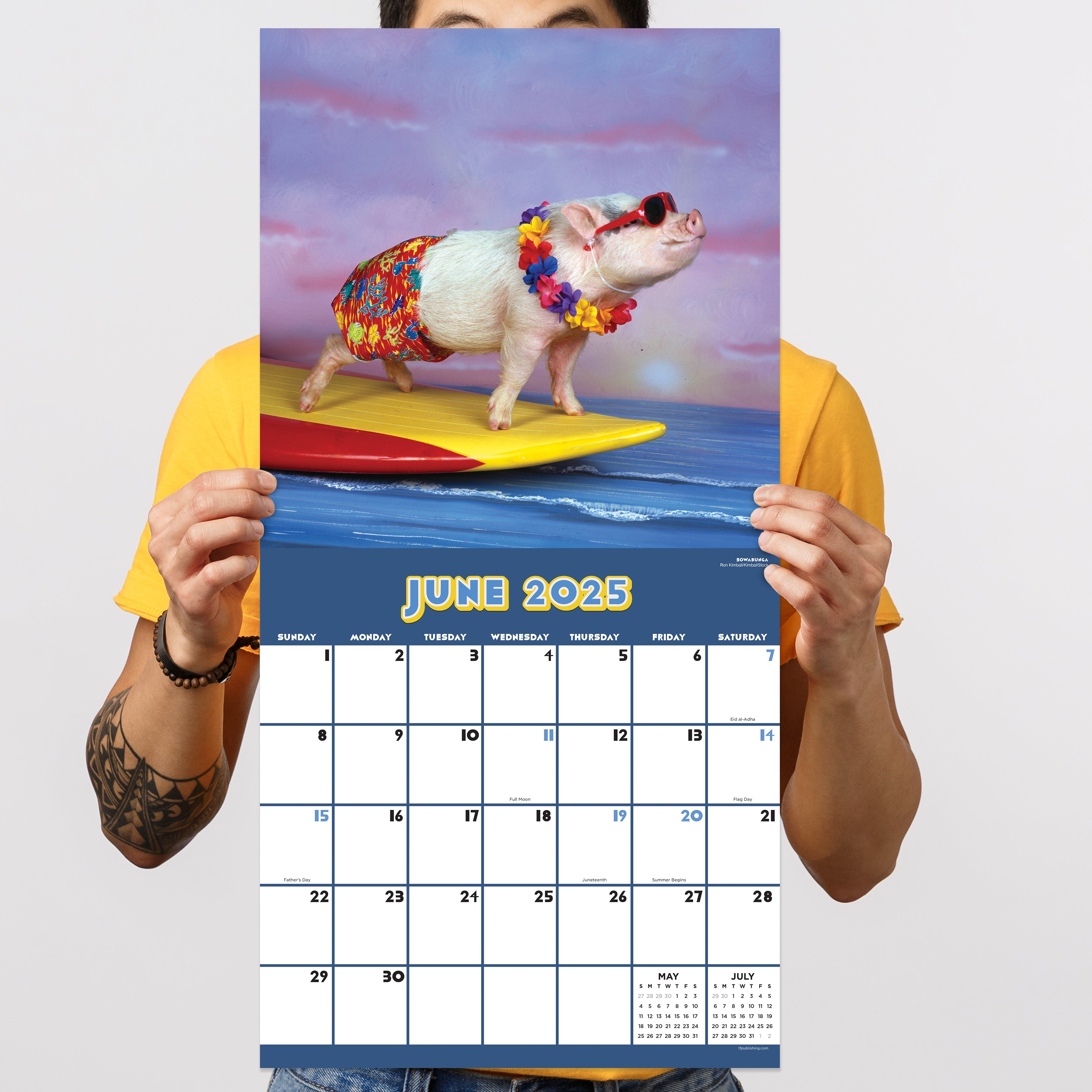 2025 Playful Pigs - Square Wall Calendar