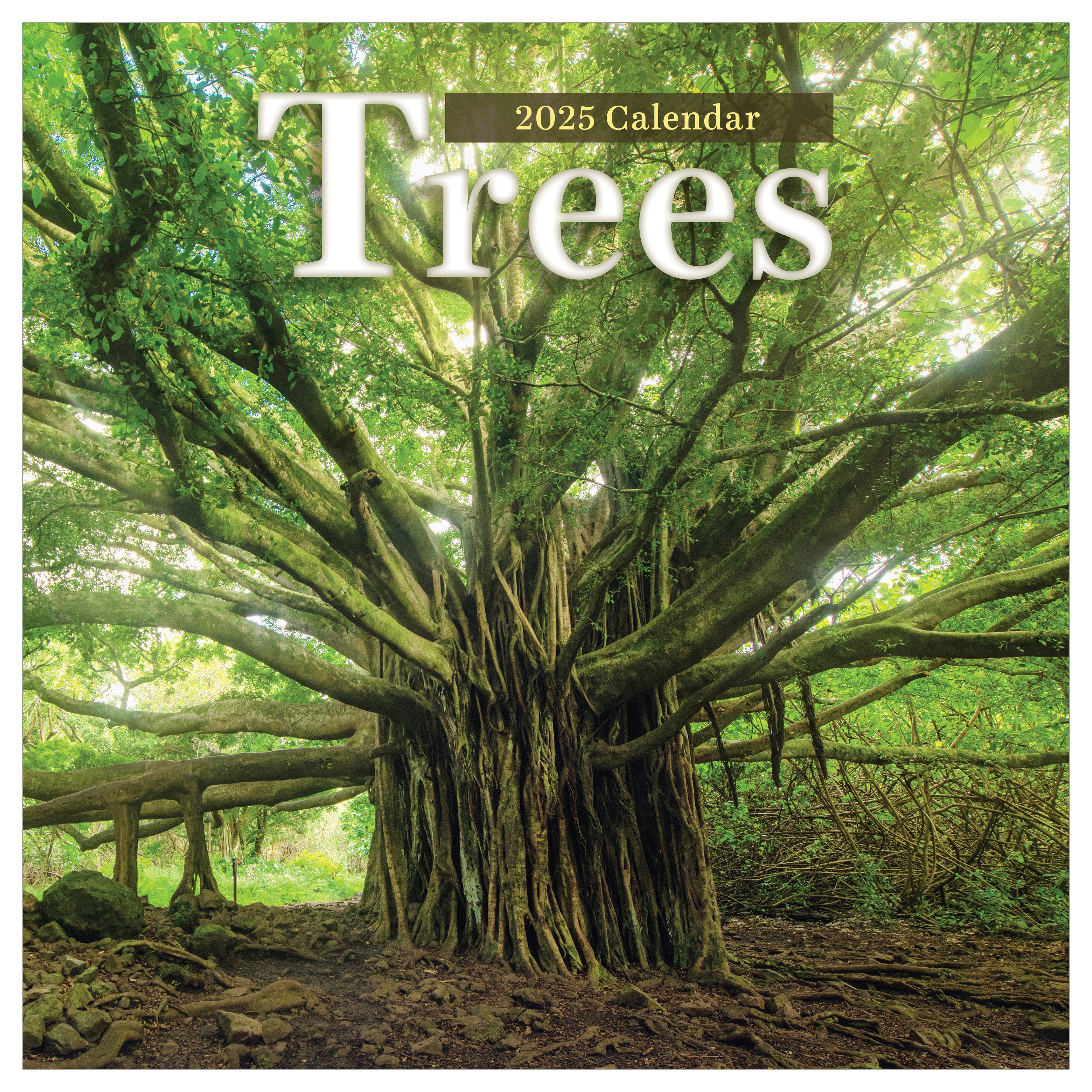 2025 Trees - Square Wall Calendar