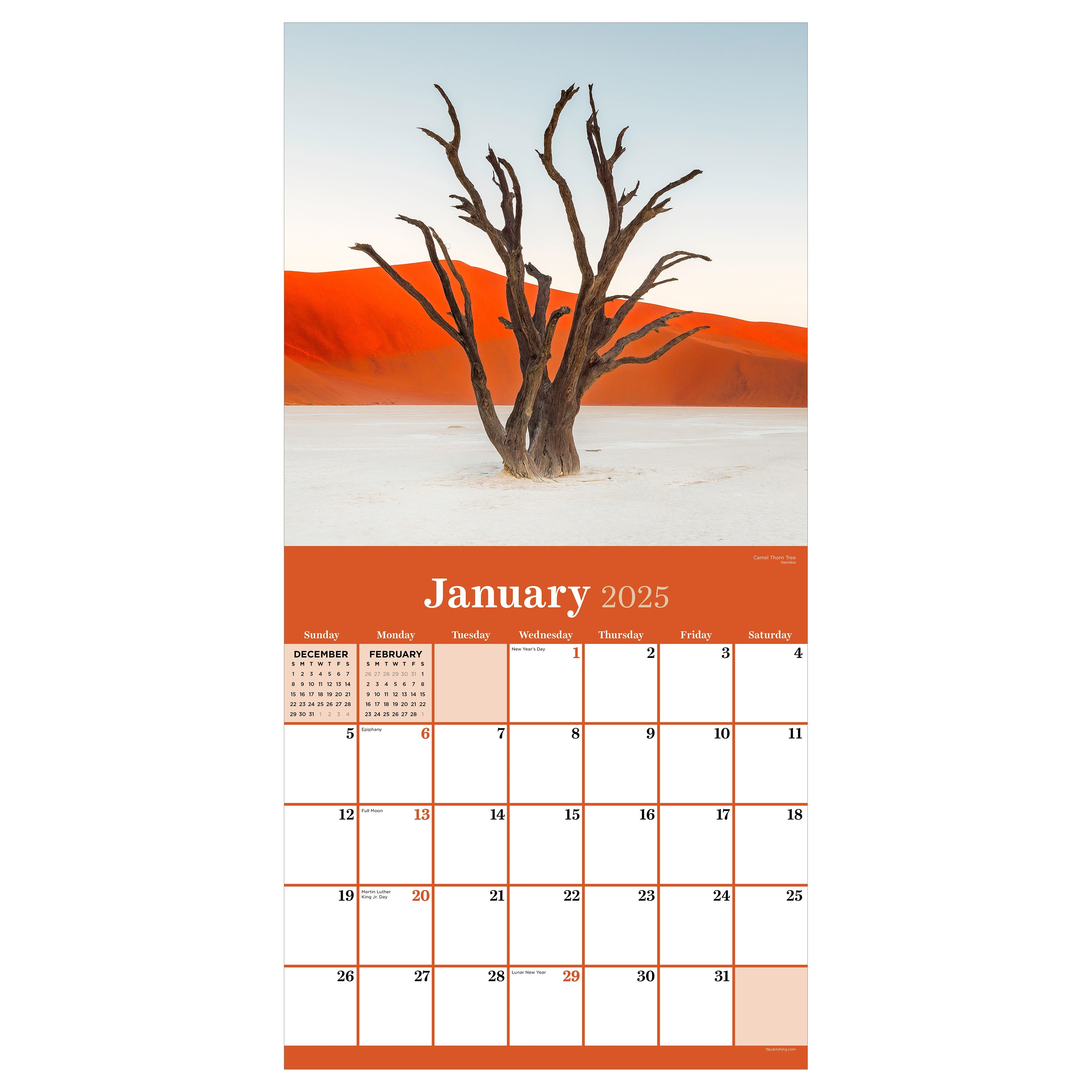 2025 Trees - Square Wall Calendar