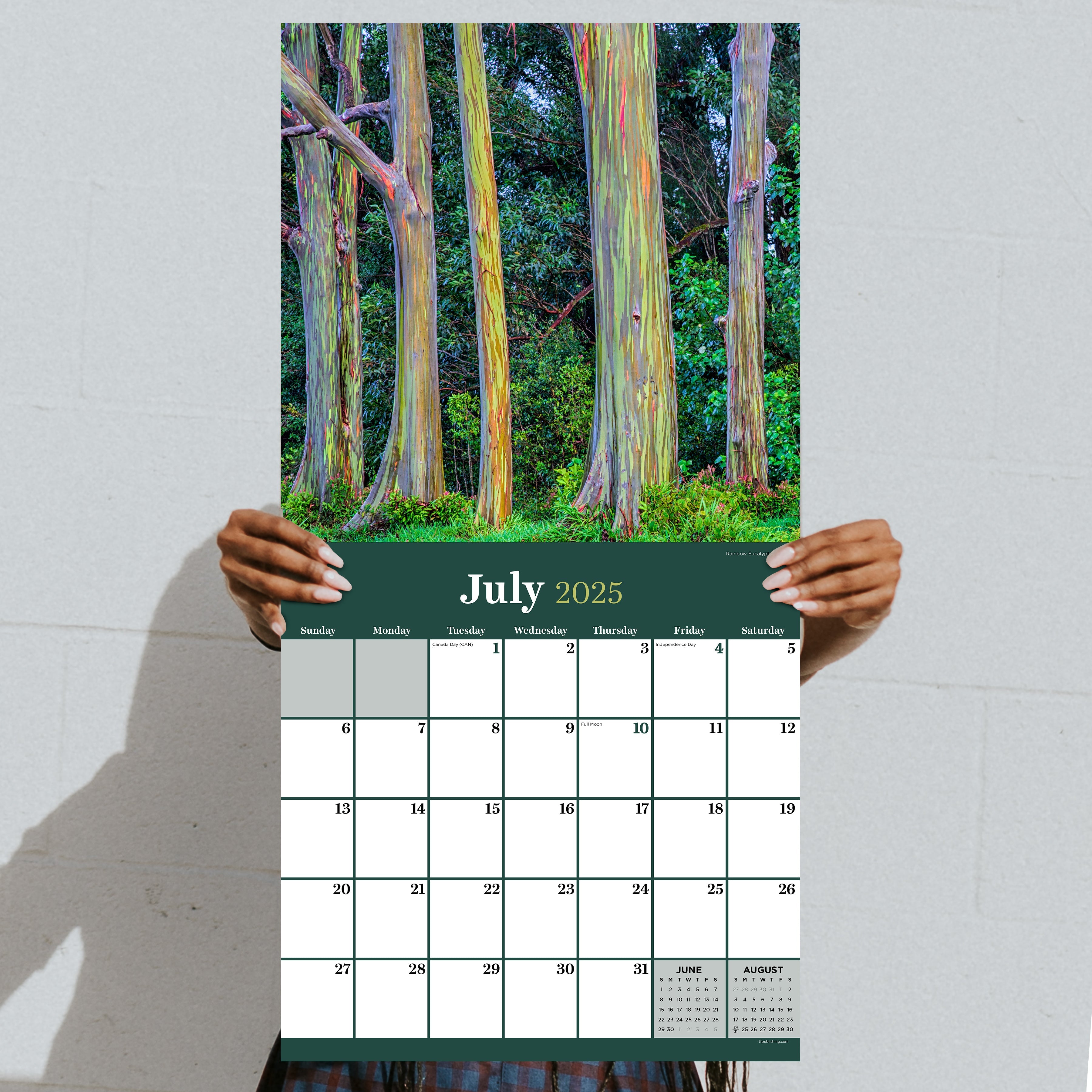 2025 Trees - Square Wall Calendar