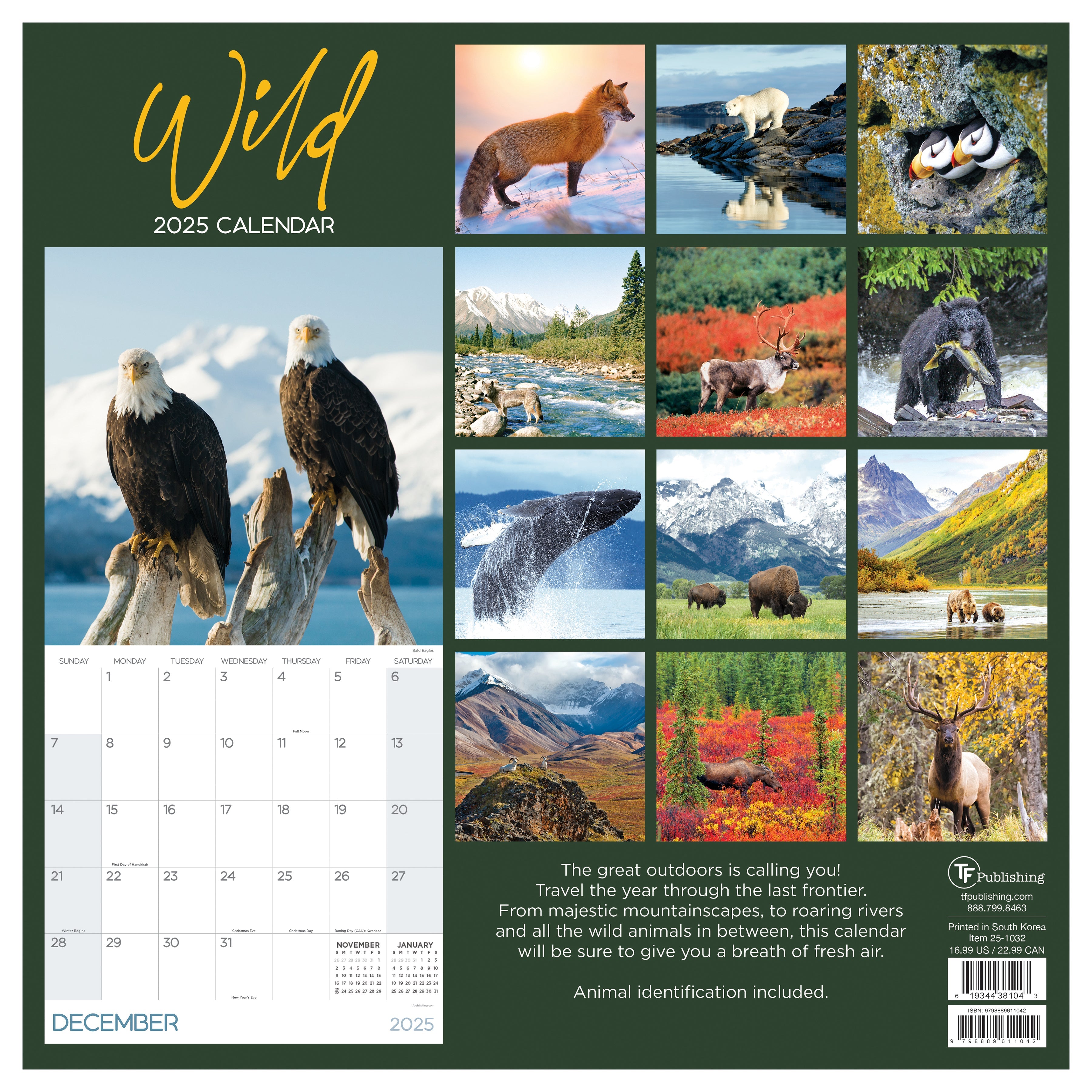 2025 Wild - Square Wall Calendar