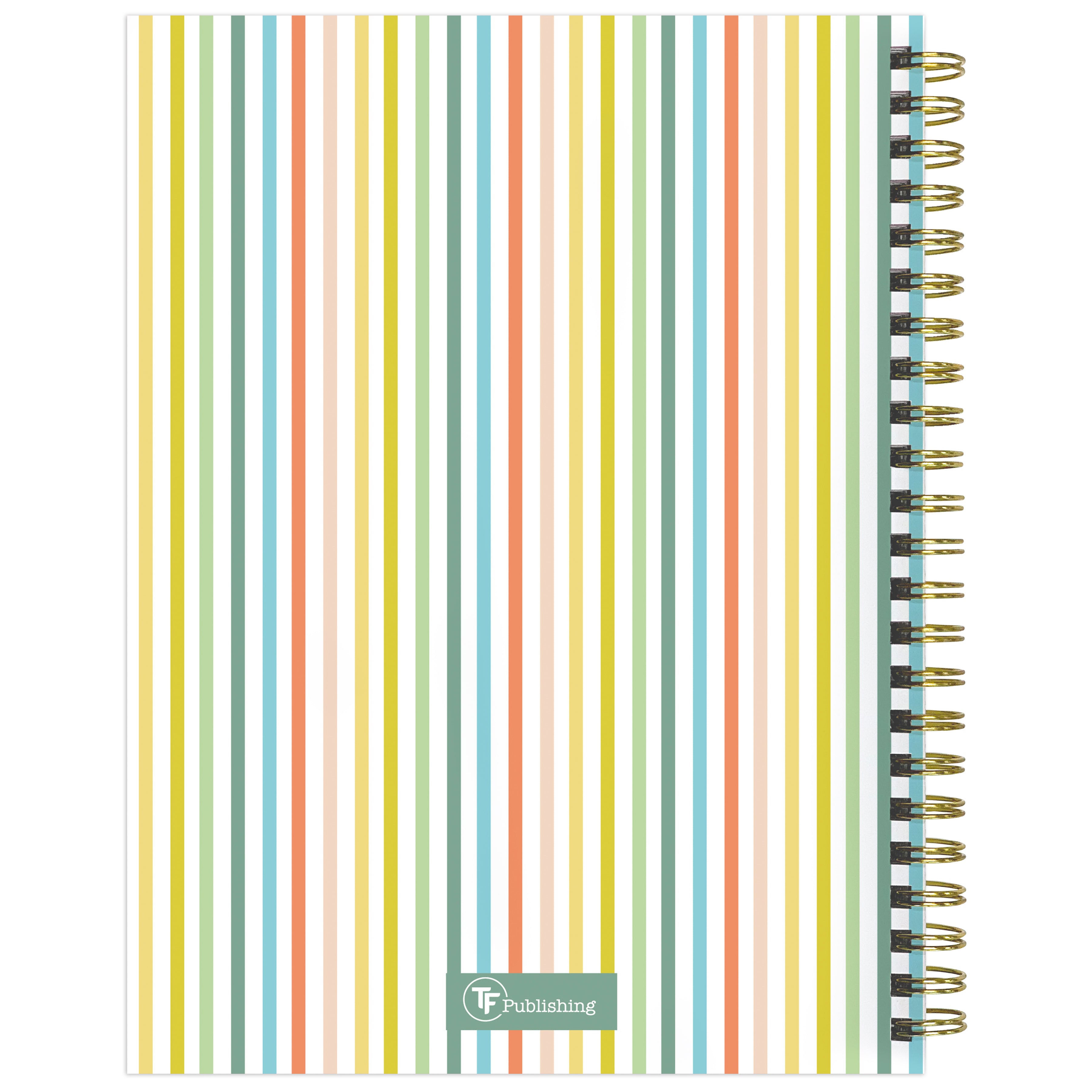 2025 Malibu Stripes - Medium Monthly & Weekly Diary/Planner