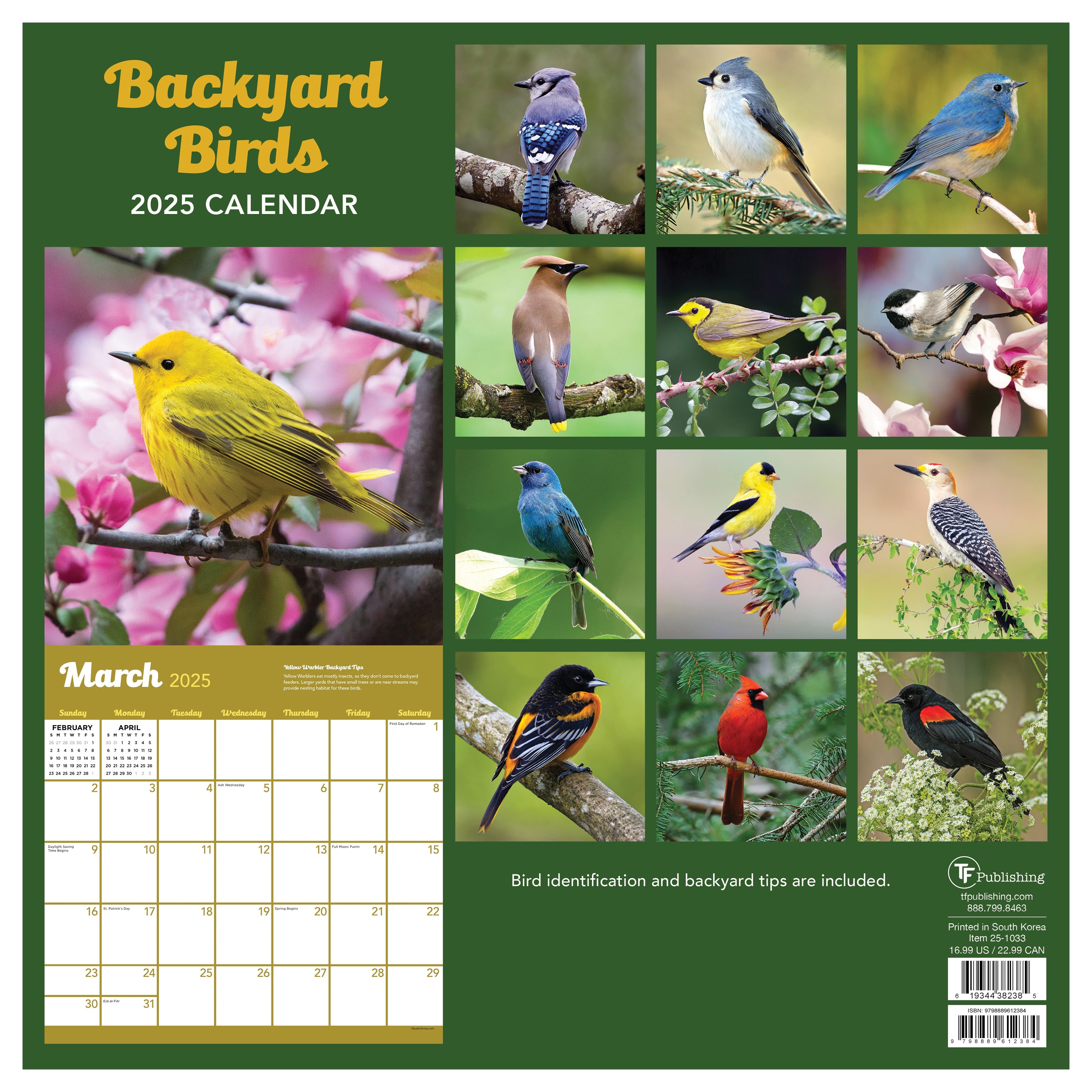 2025 Backyard Birds by TF - Square Wall Calendar