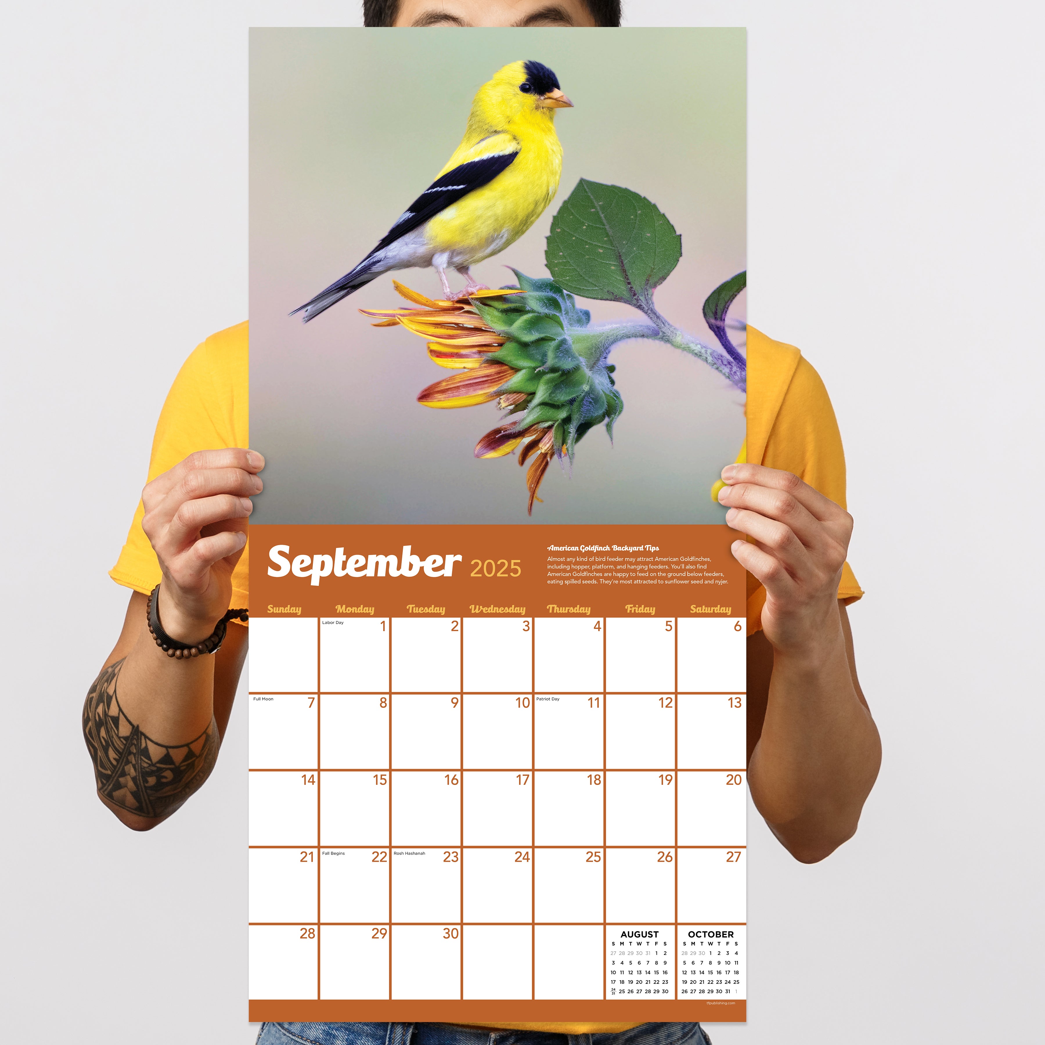 2025 Backyard Birds by TF - Square Wall Calendar