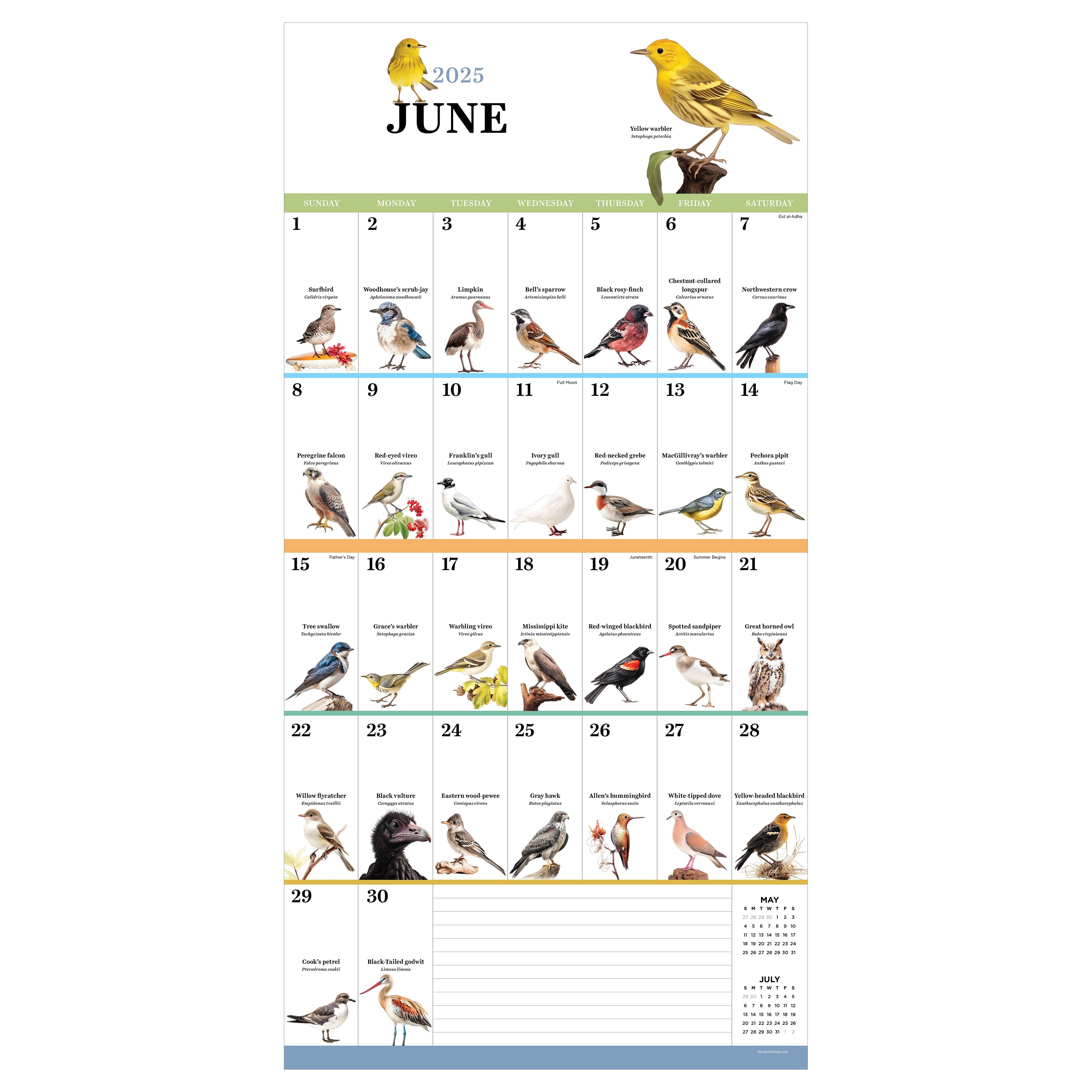 2025 Birds: Backyard and Beyond - Square Wall Calendar