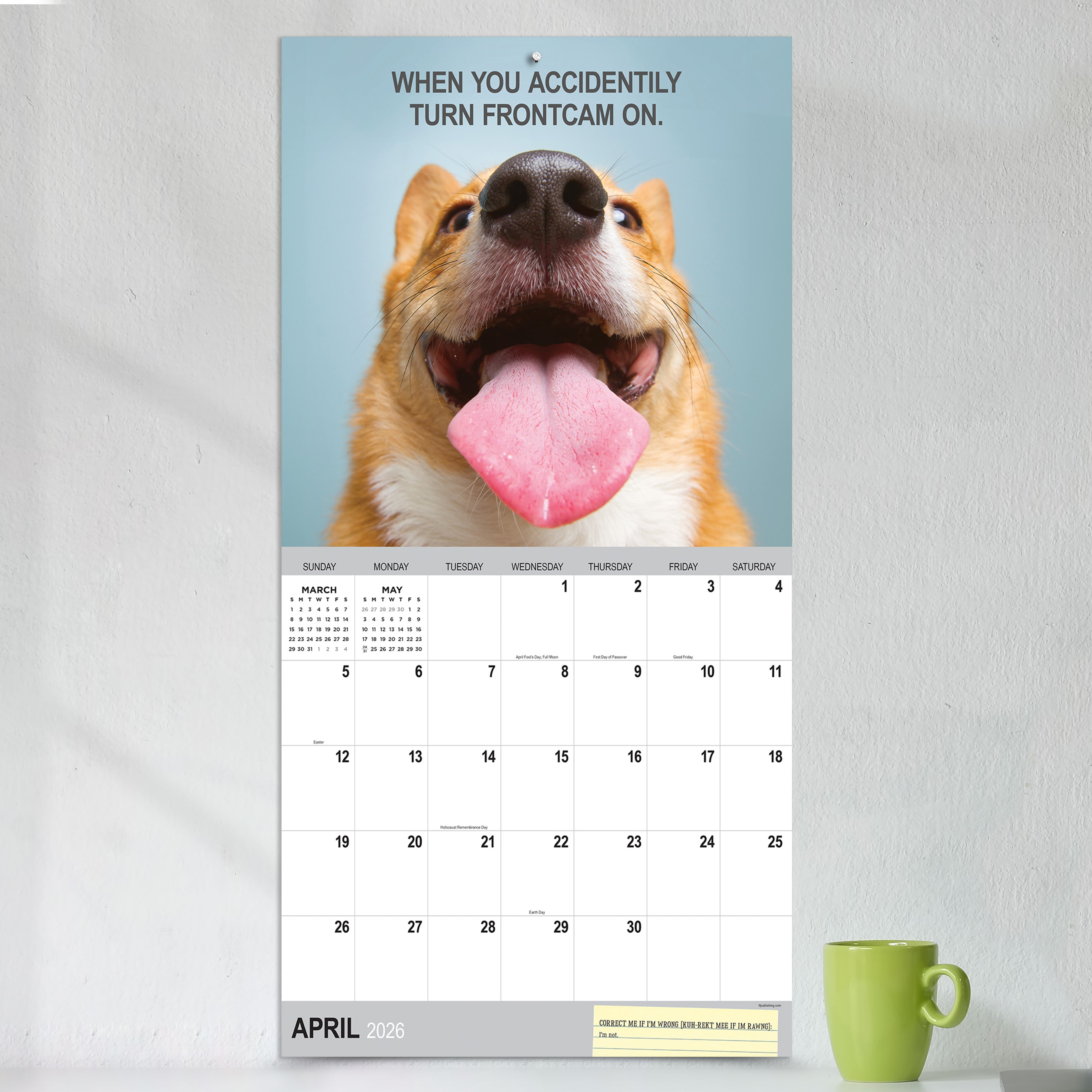 2026 Desk Dogs - Square Wall Calendar