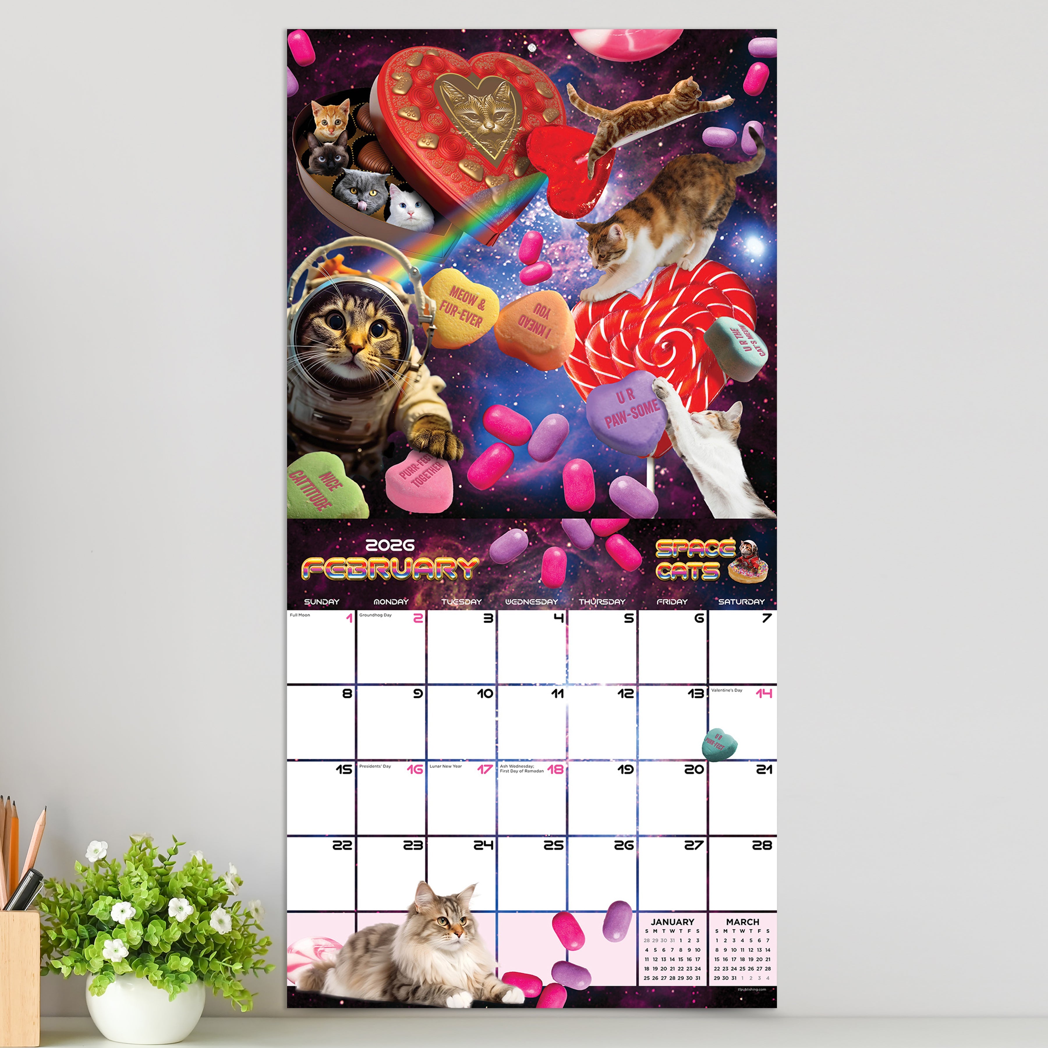 2026 Space Cats - Square Wall Calendar