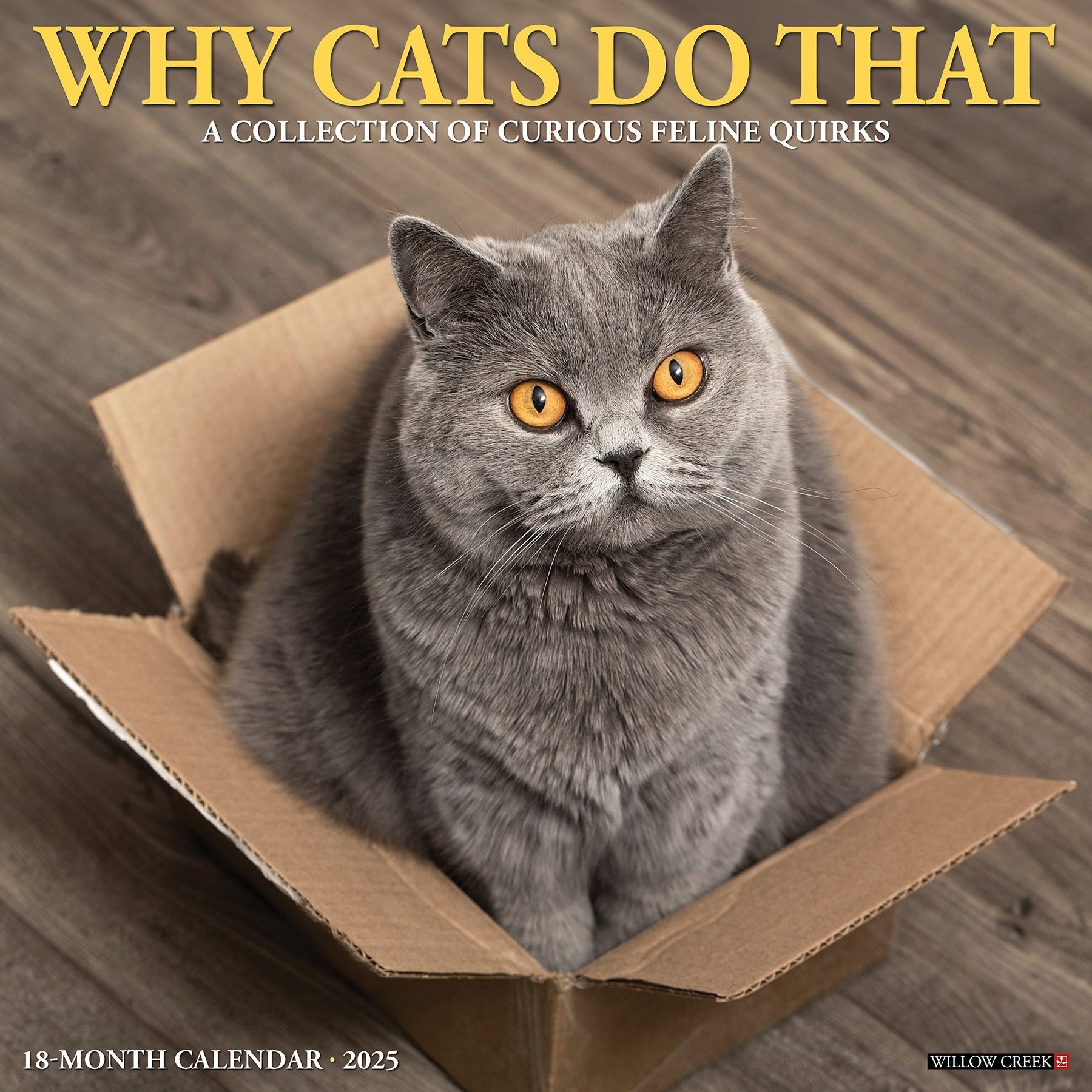 2025 Why Cats Do That - Square Wall Calendar (US Only)